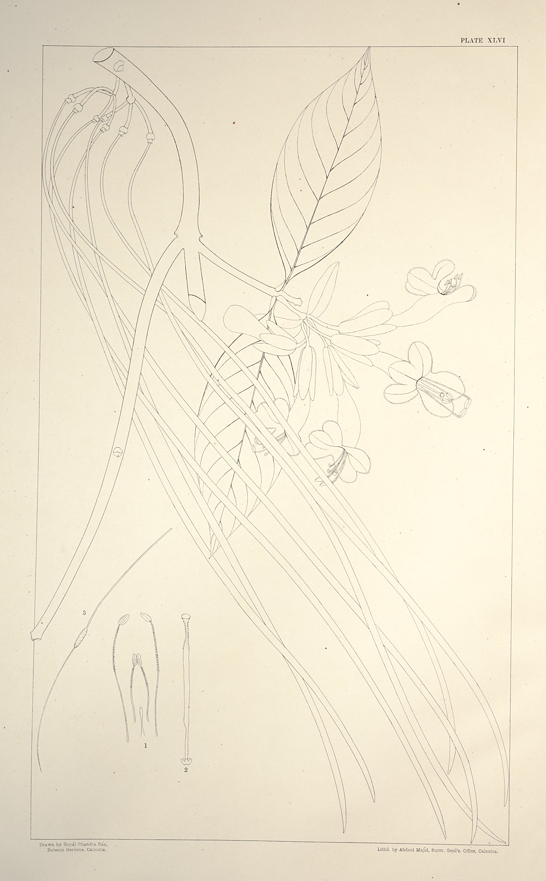 no full size  illustration available (3a)