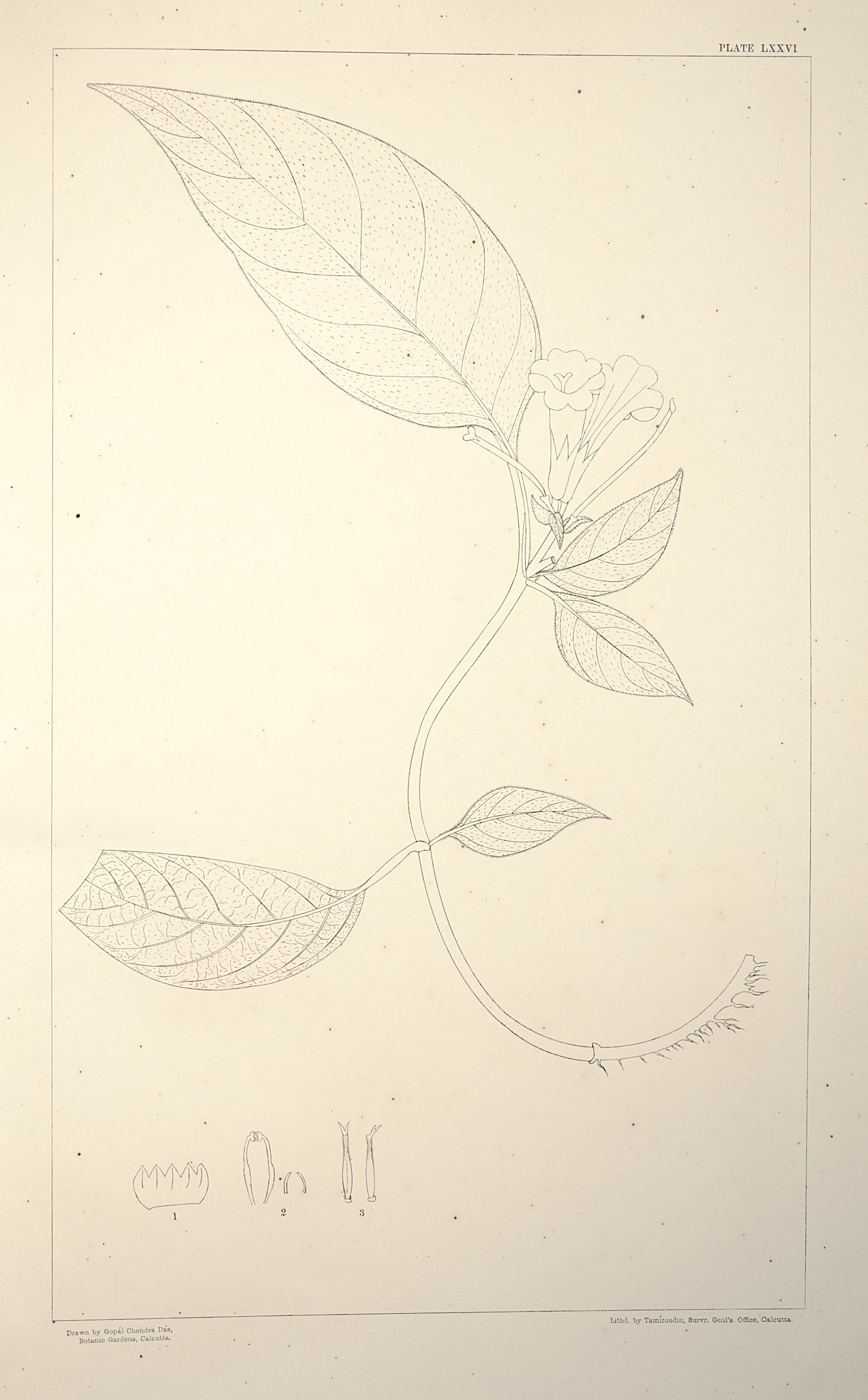 no full size  illustration available (3a)