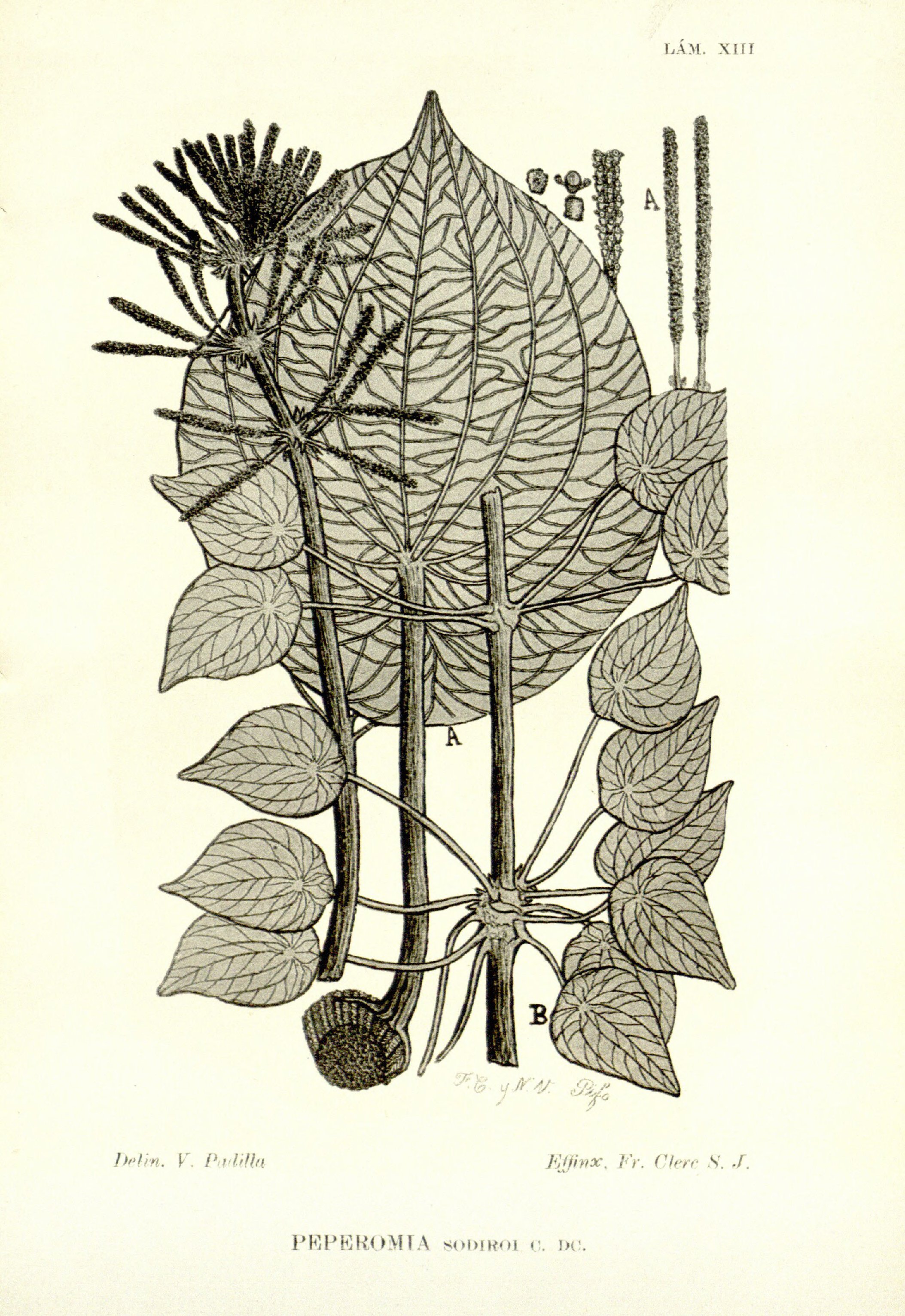 no full size  illustration available (3a)