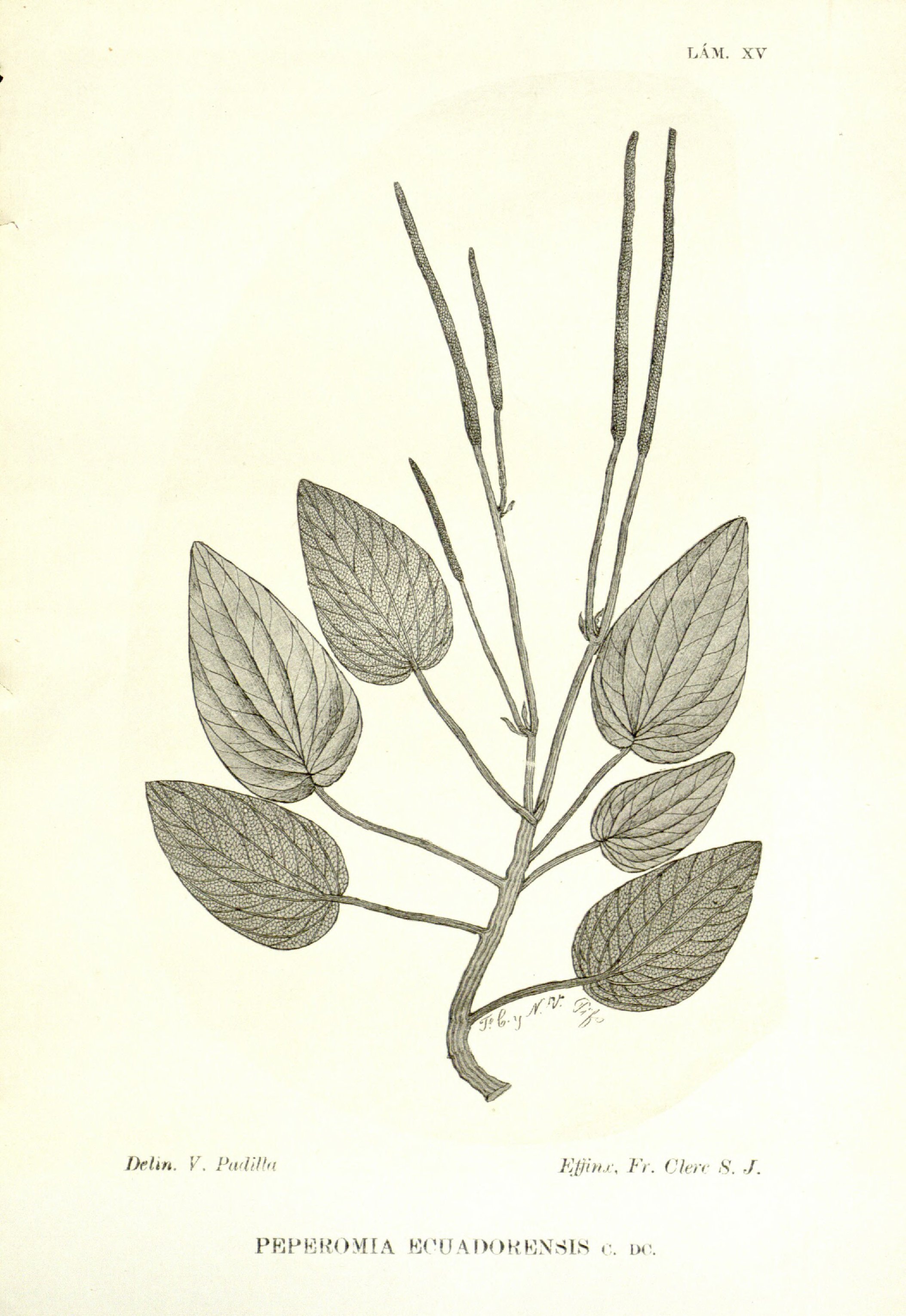 no full size  illustration available (3a)