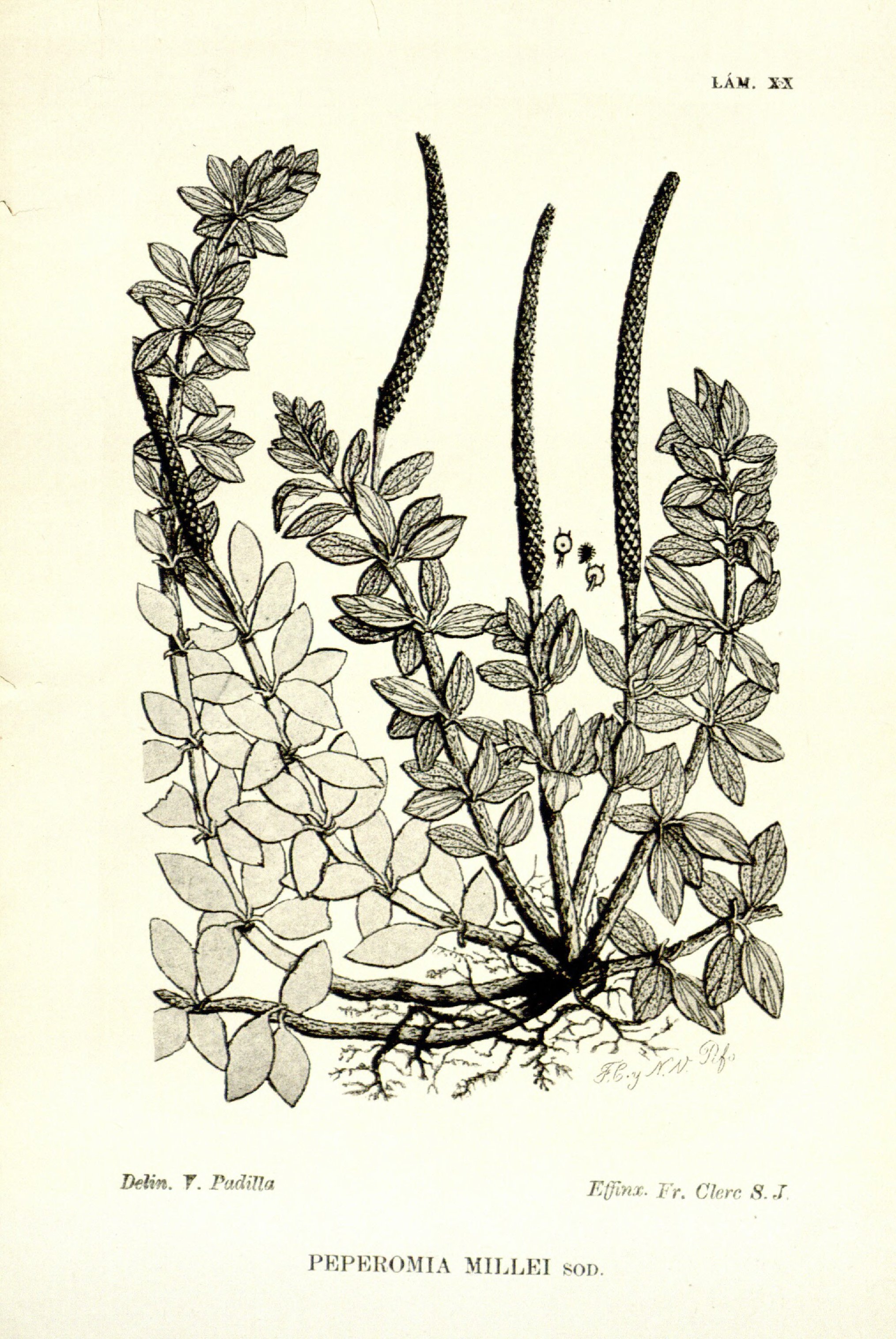 no full size  illustration available (3a)