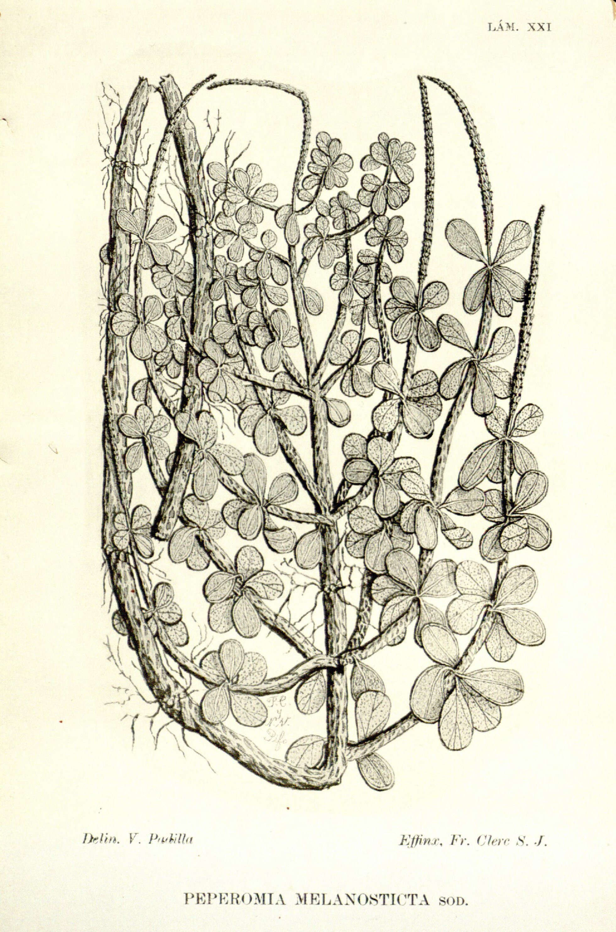 no full size  illustration available (3a)