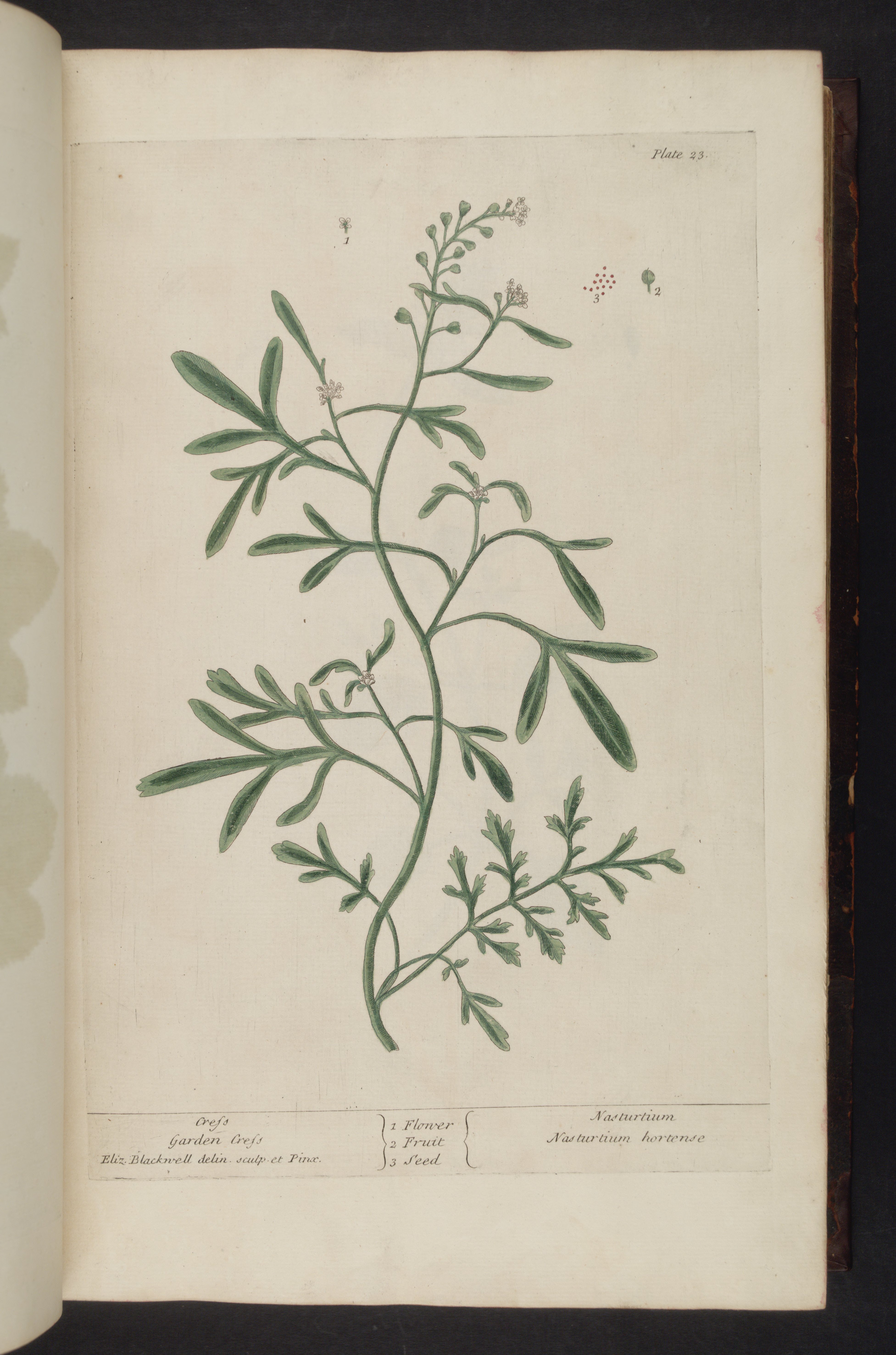 no full size  illustration available (3a)