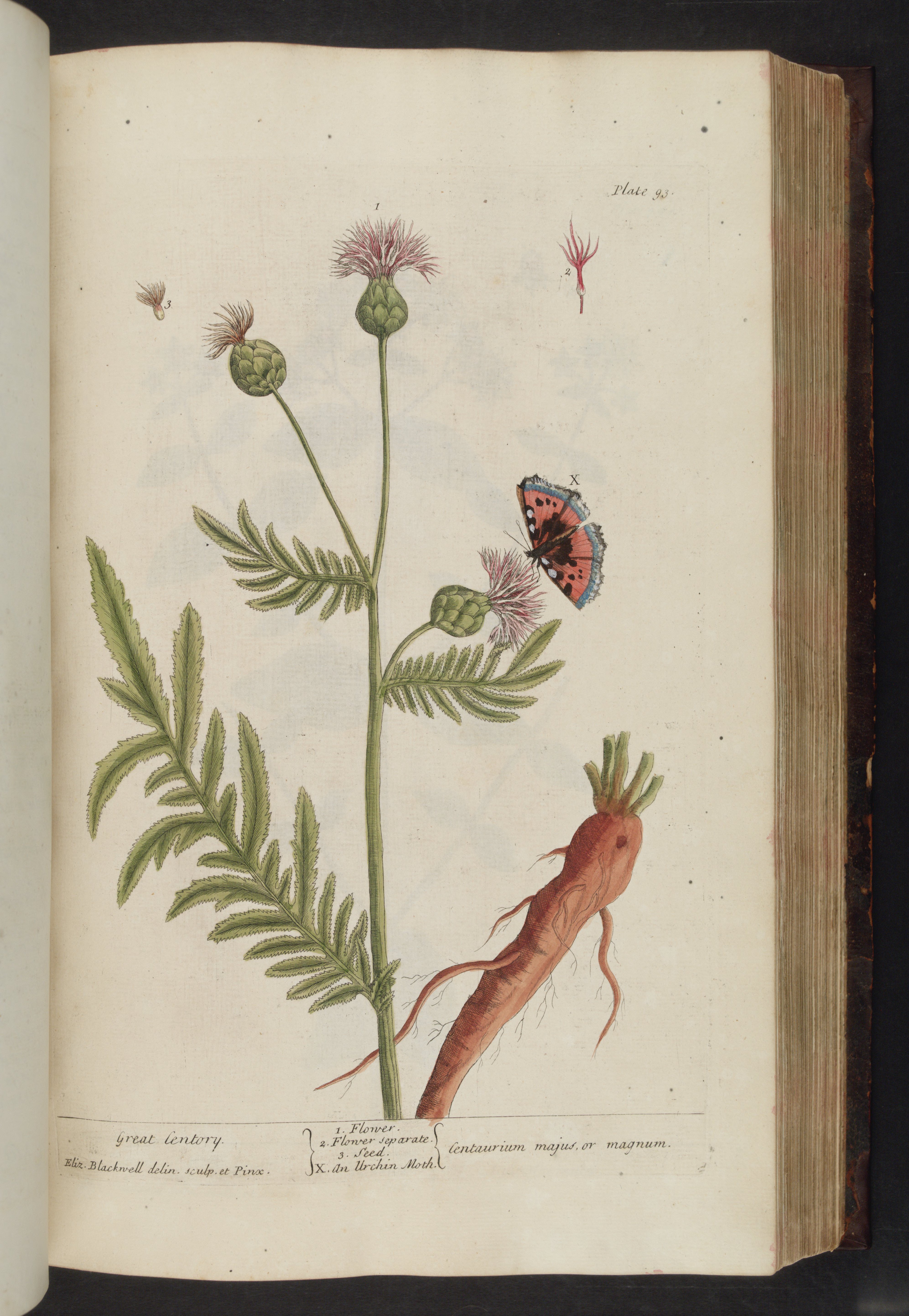 no full size  illustration available (3a)