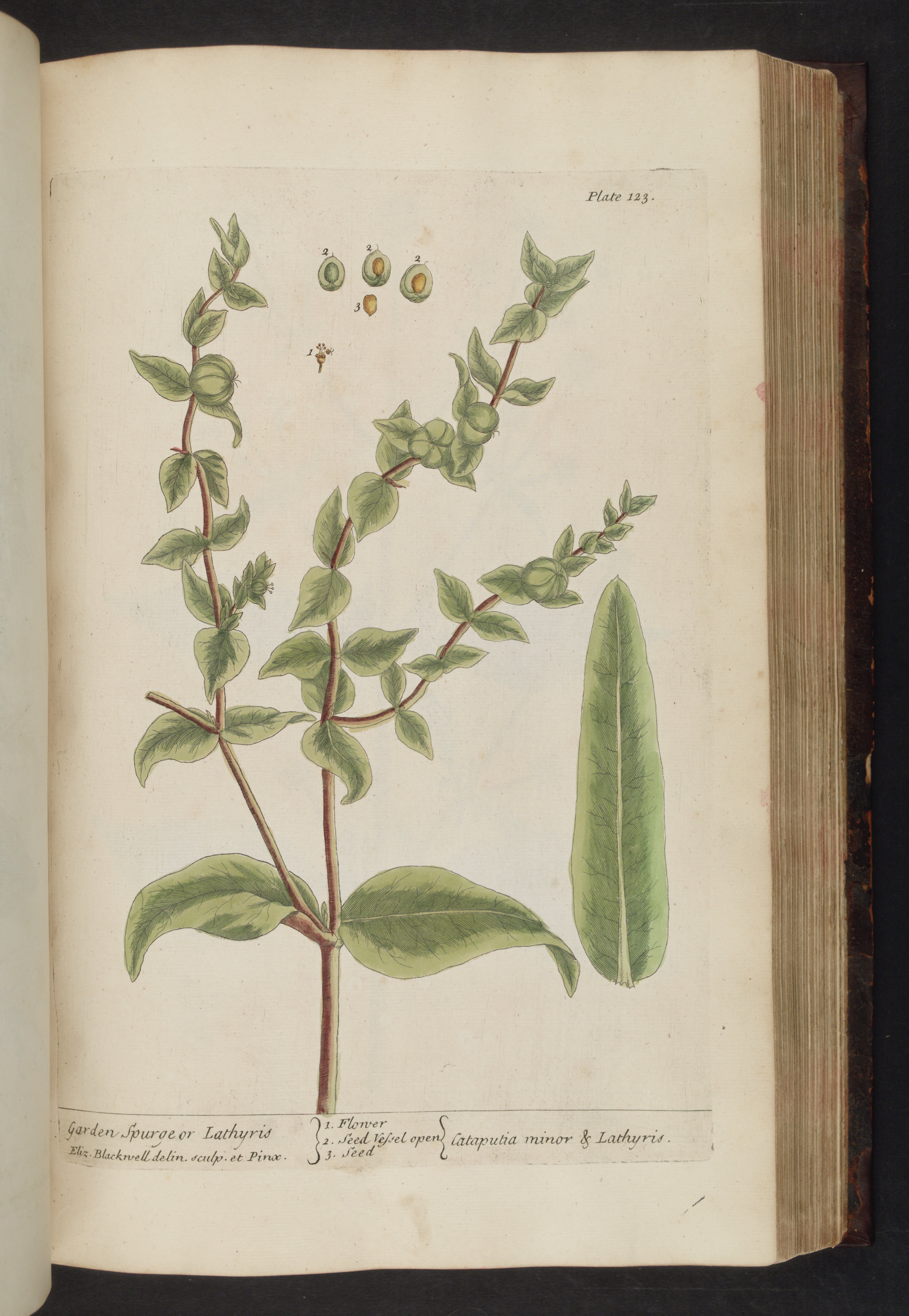 no full size  illustration available (3a)