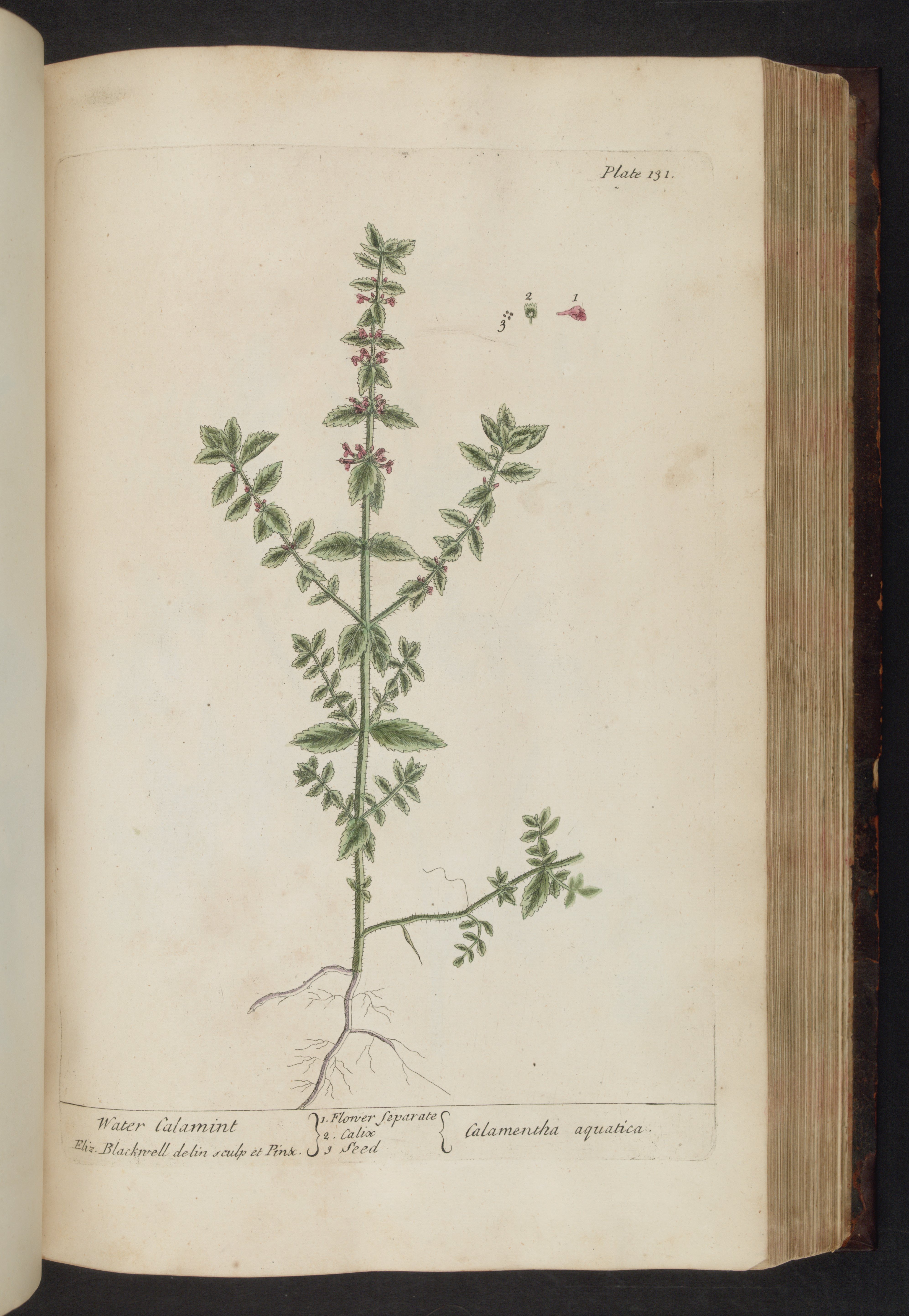 no full size  illustration available (3a)