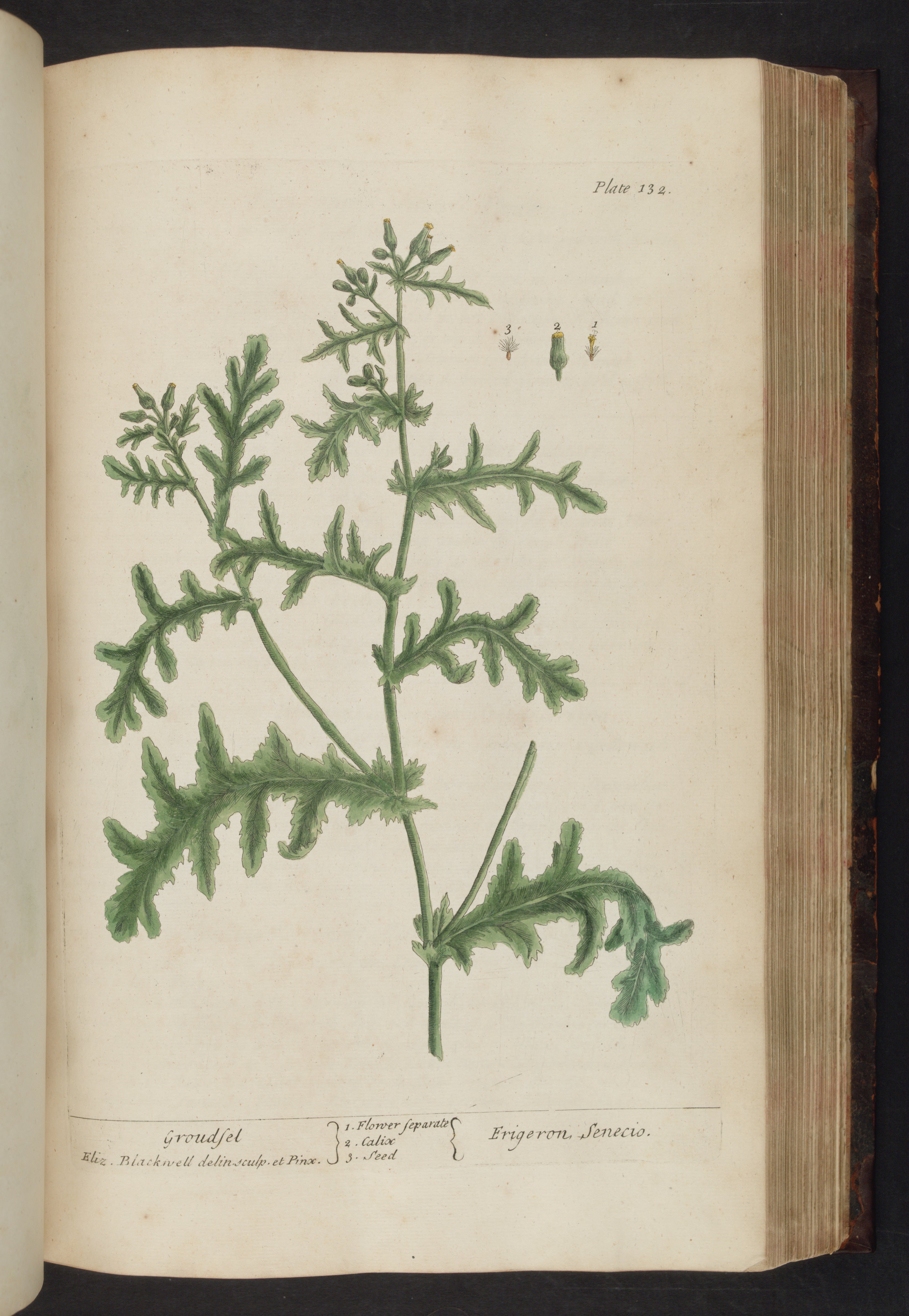 no full size  illustration available (3a)