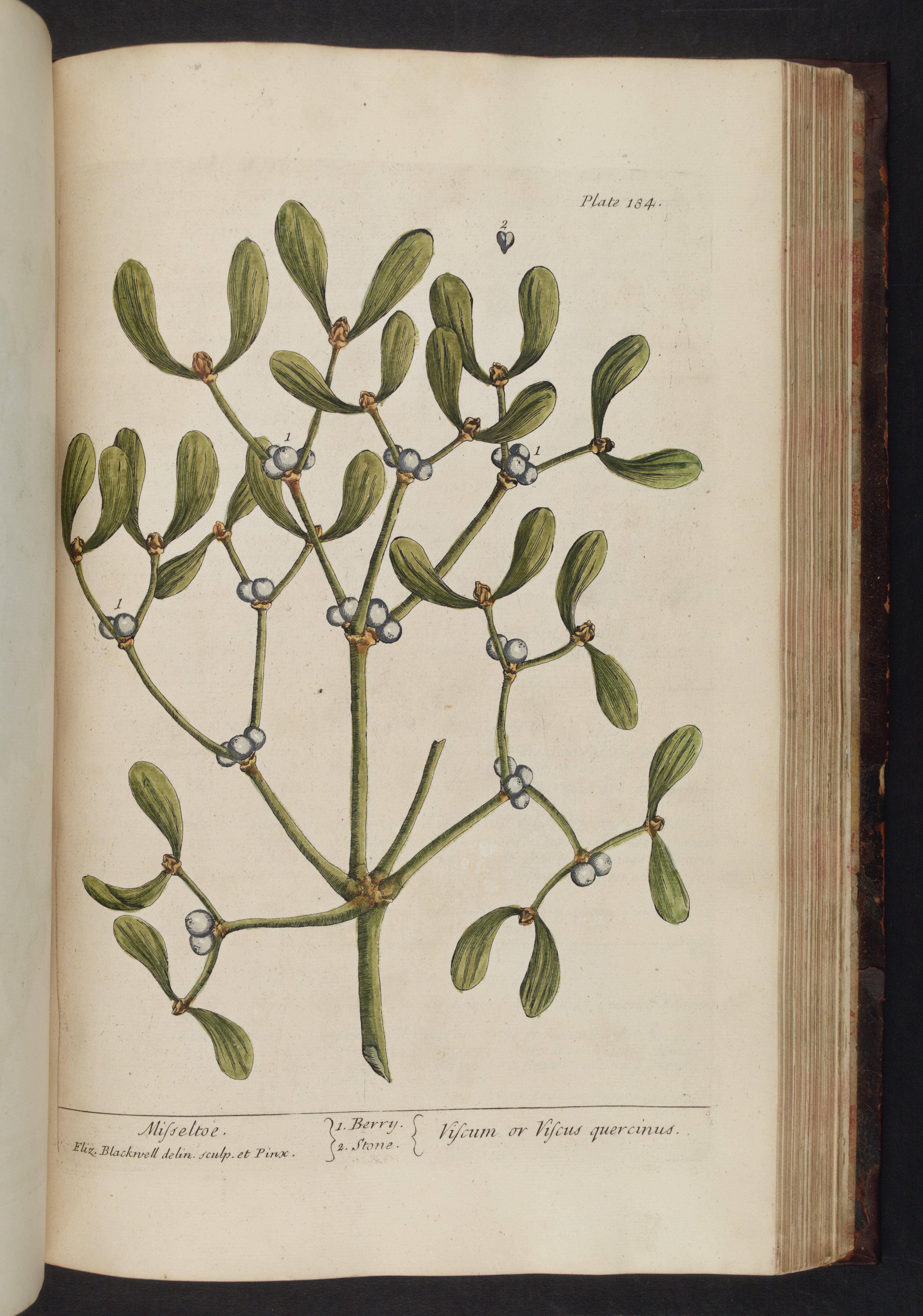 no full size  illustration available (3a)