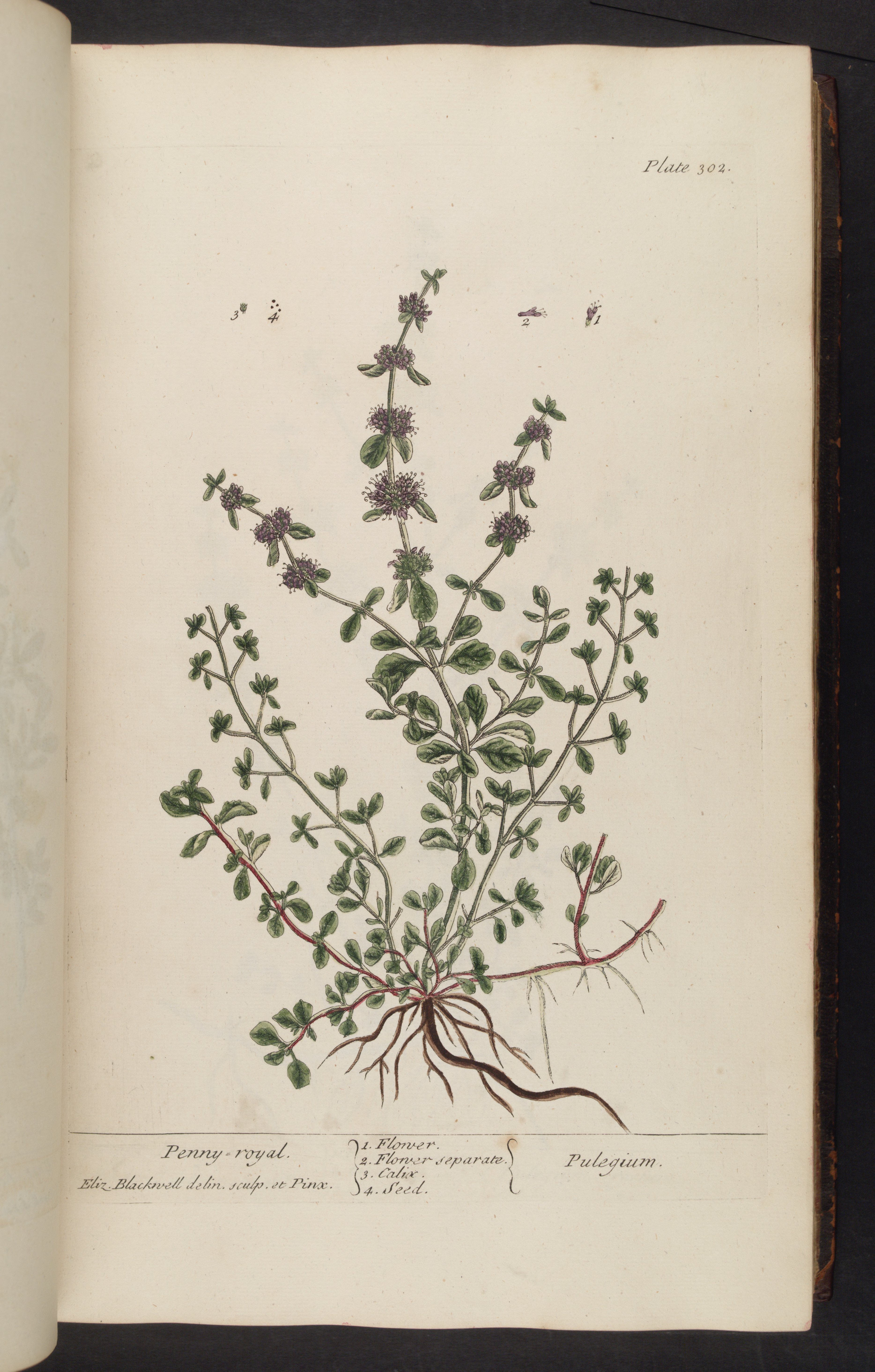 no full size  illustration available (3a)