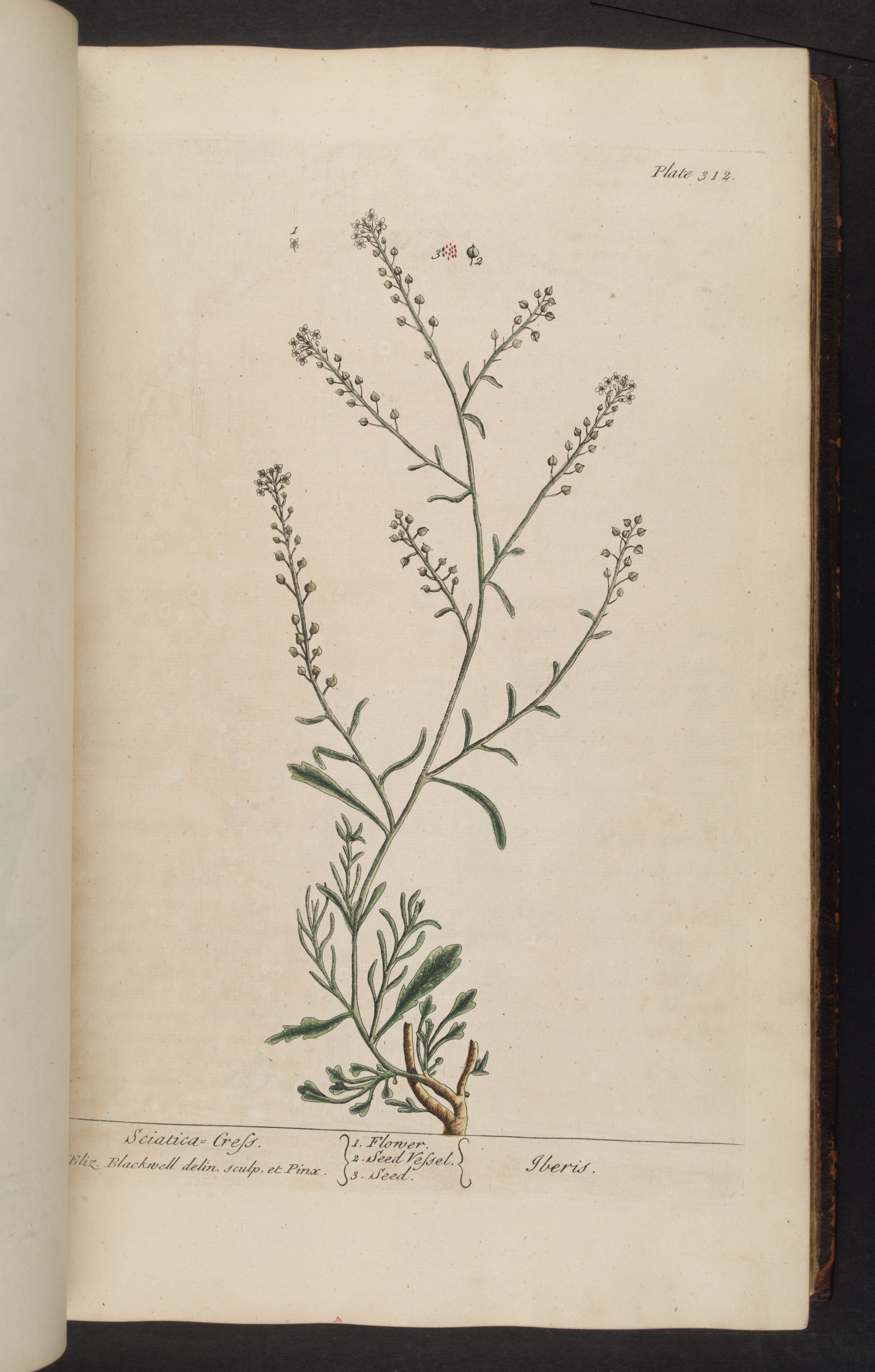 no full size  illustration available (3a)