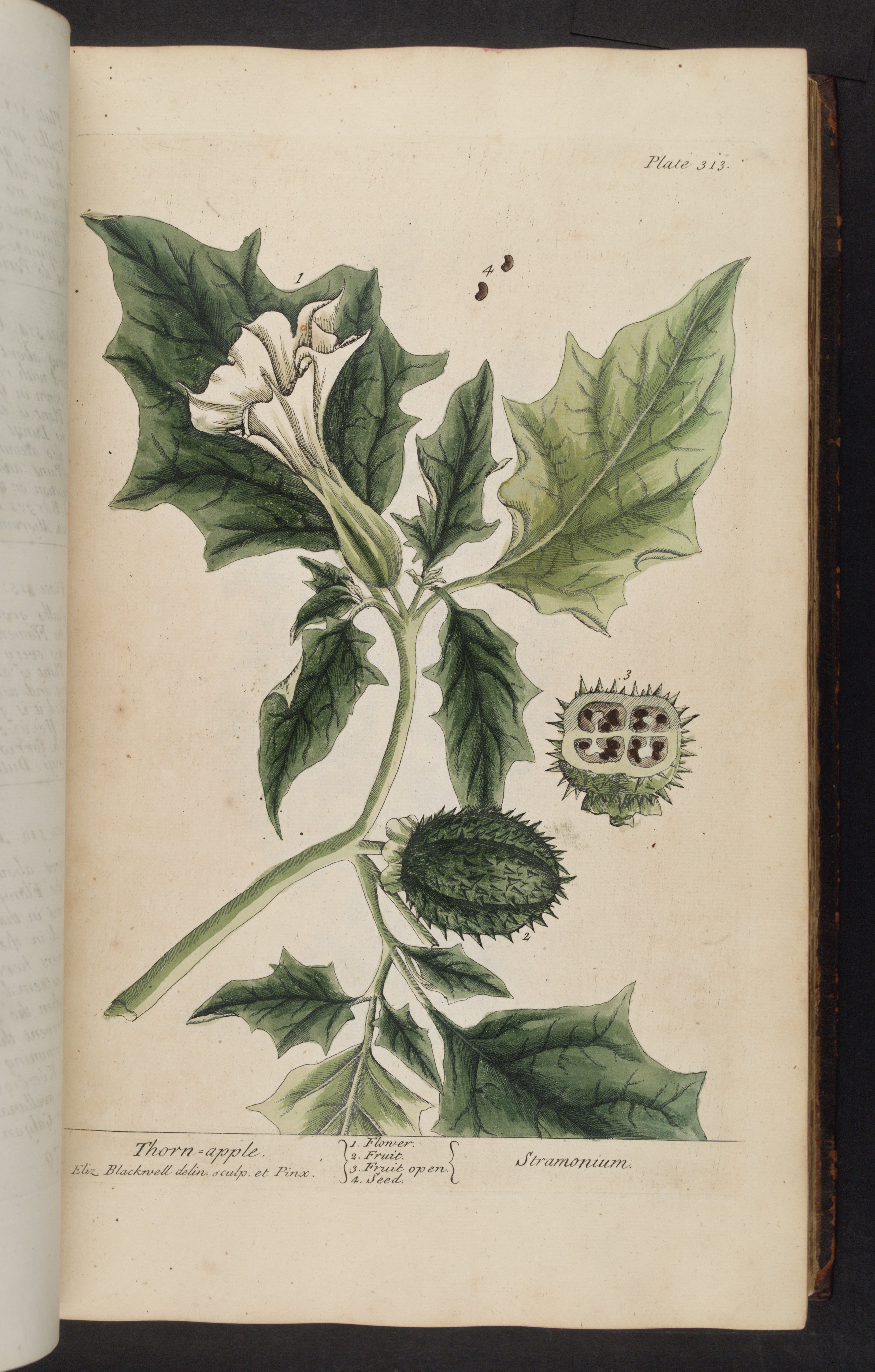 no full size  illustration available (3a)