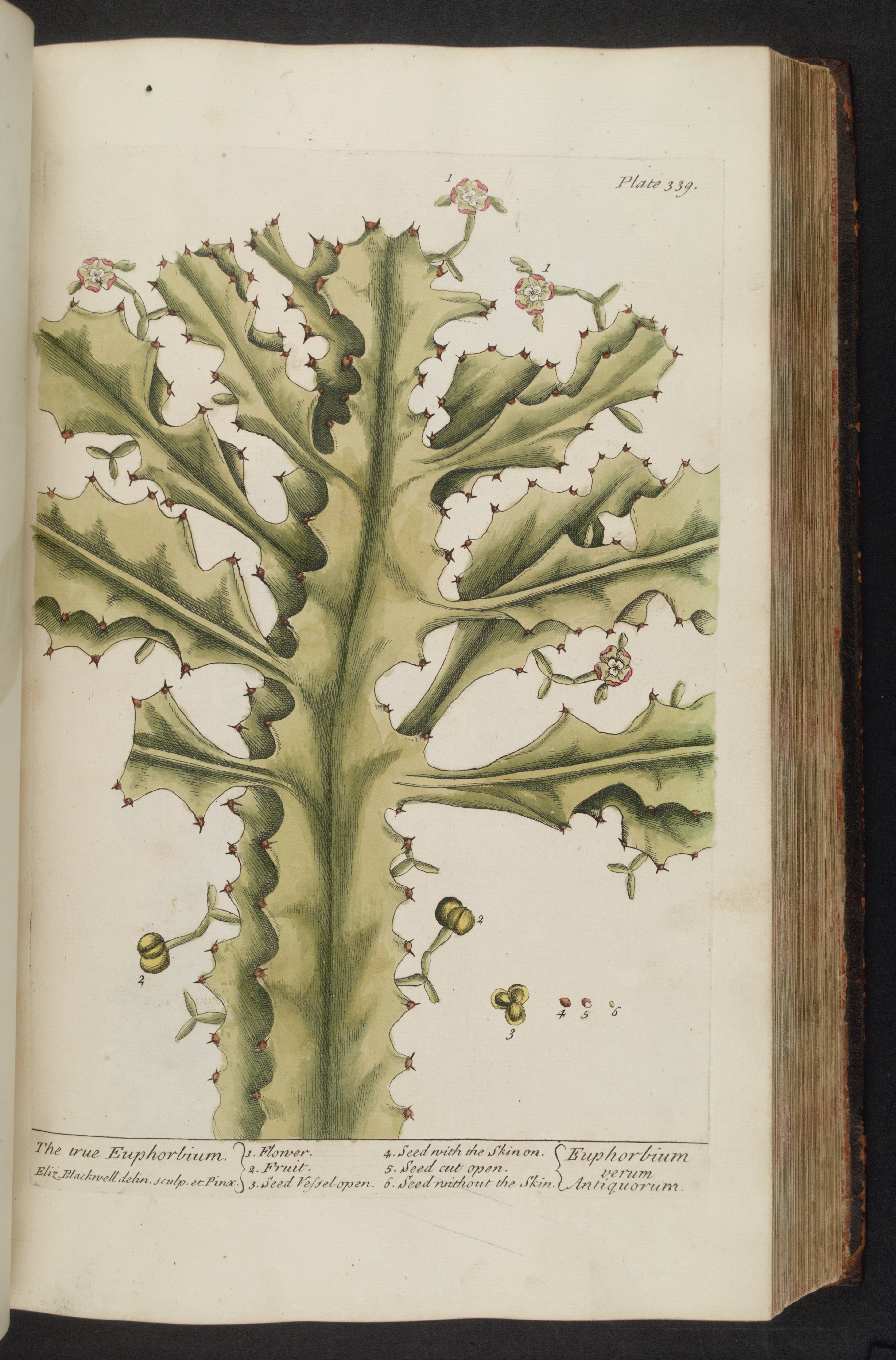 no full size  illustration available (3a)