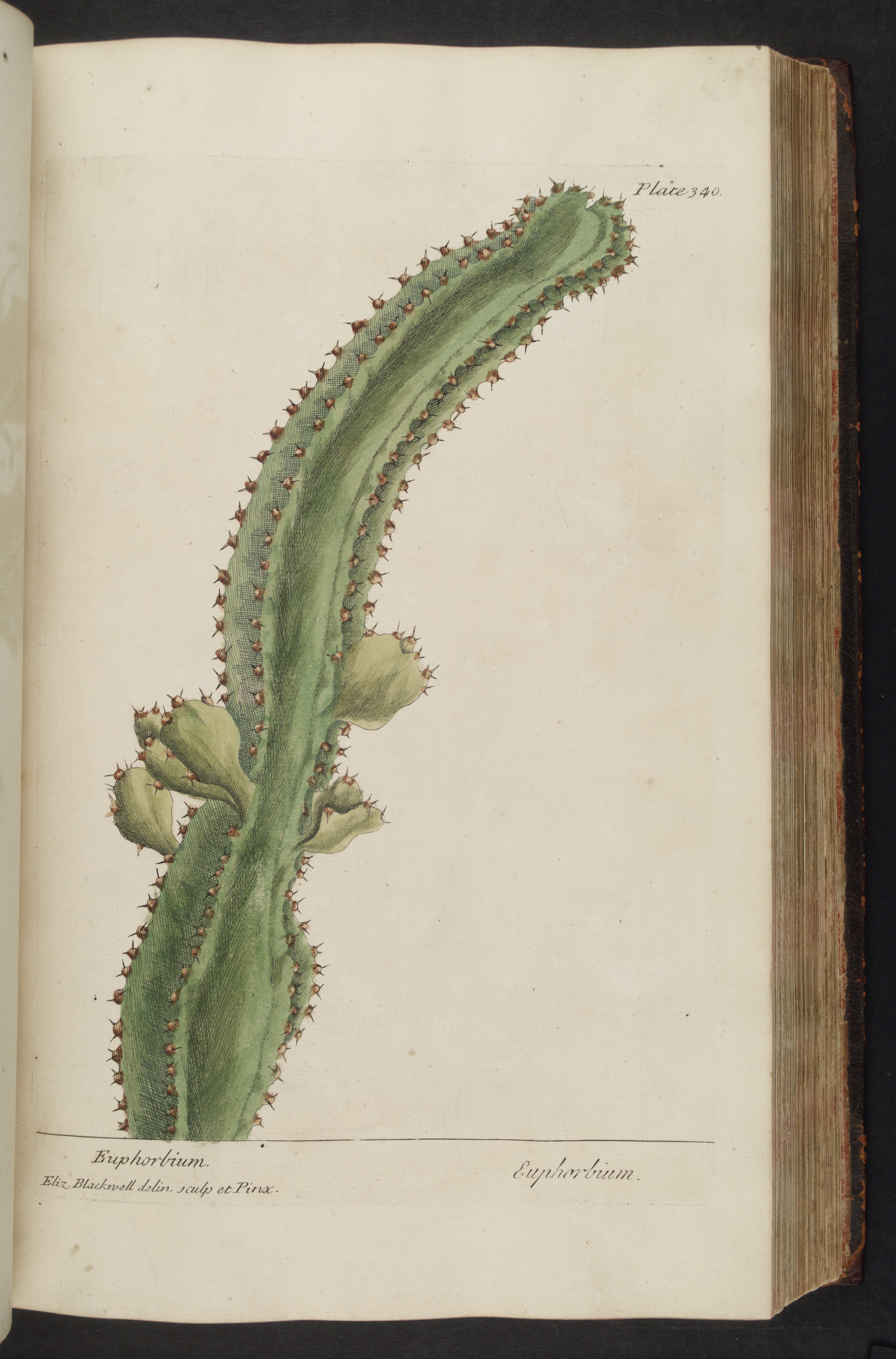 no full size  illustration available (3a)