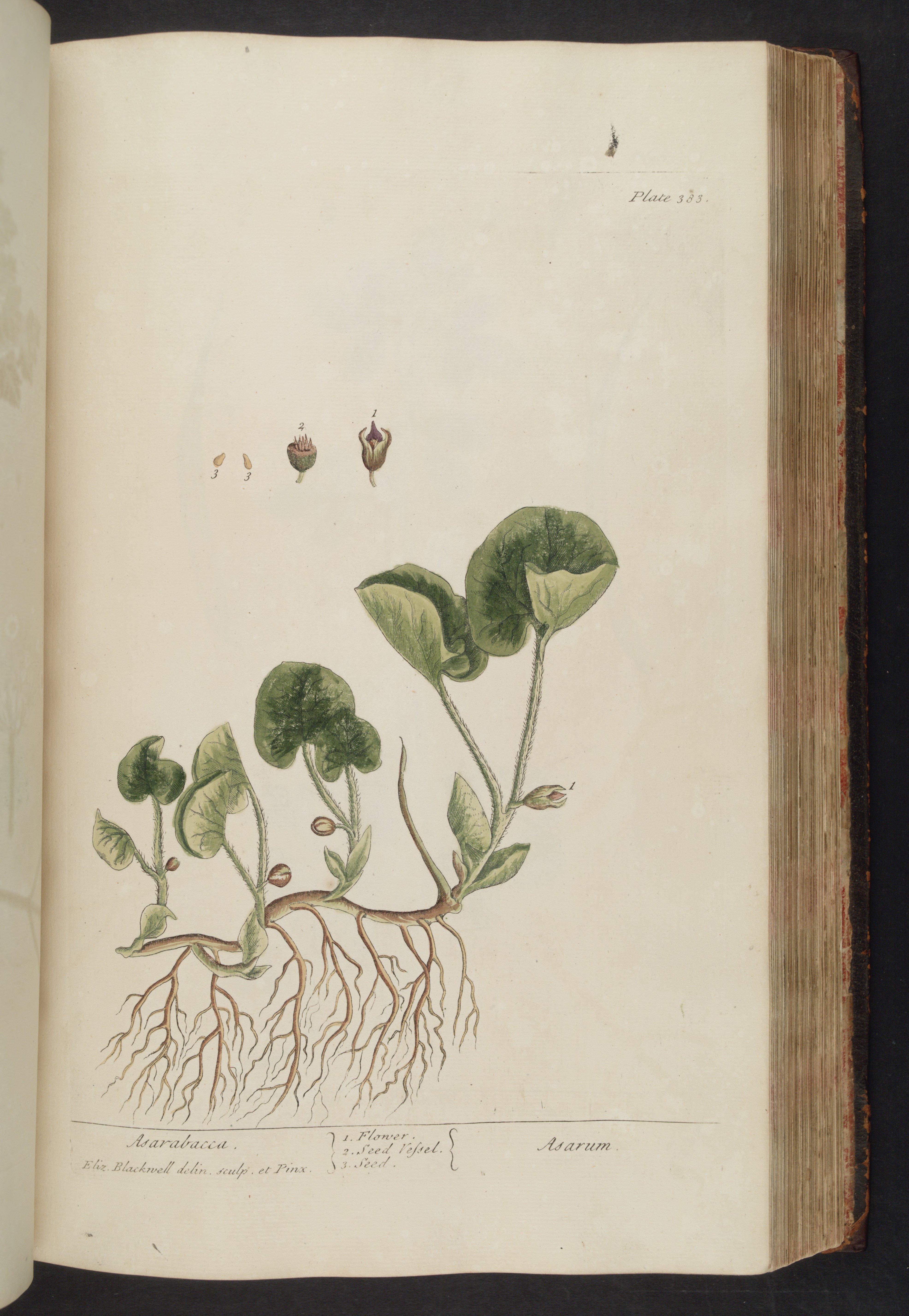 no full size  illustration available (3a)