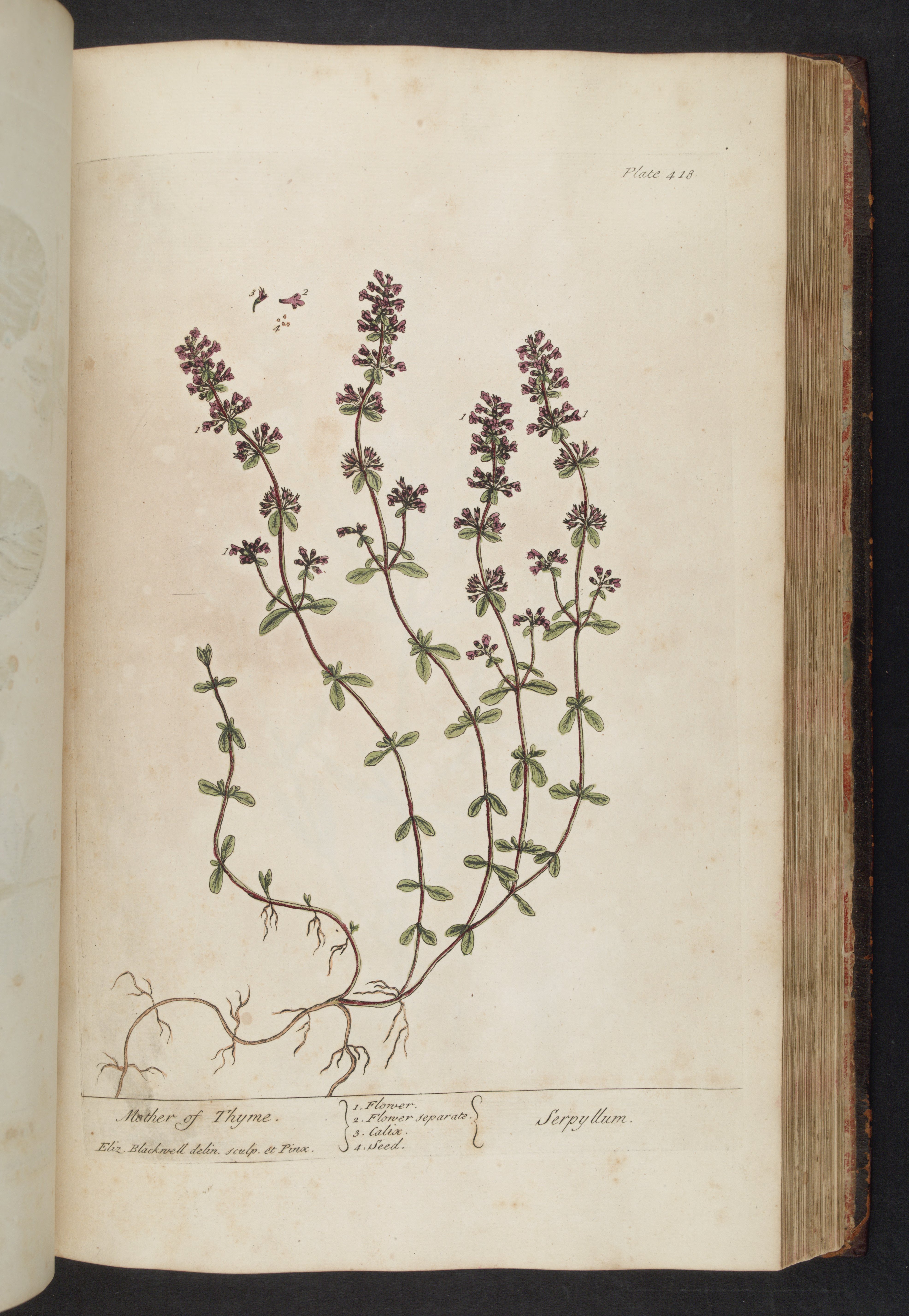 no full size  illustration available (3a)