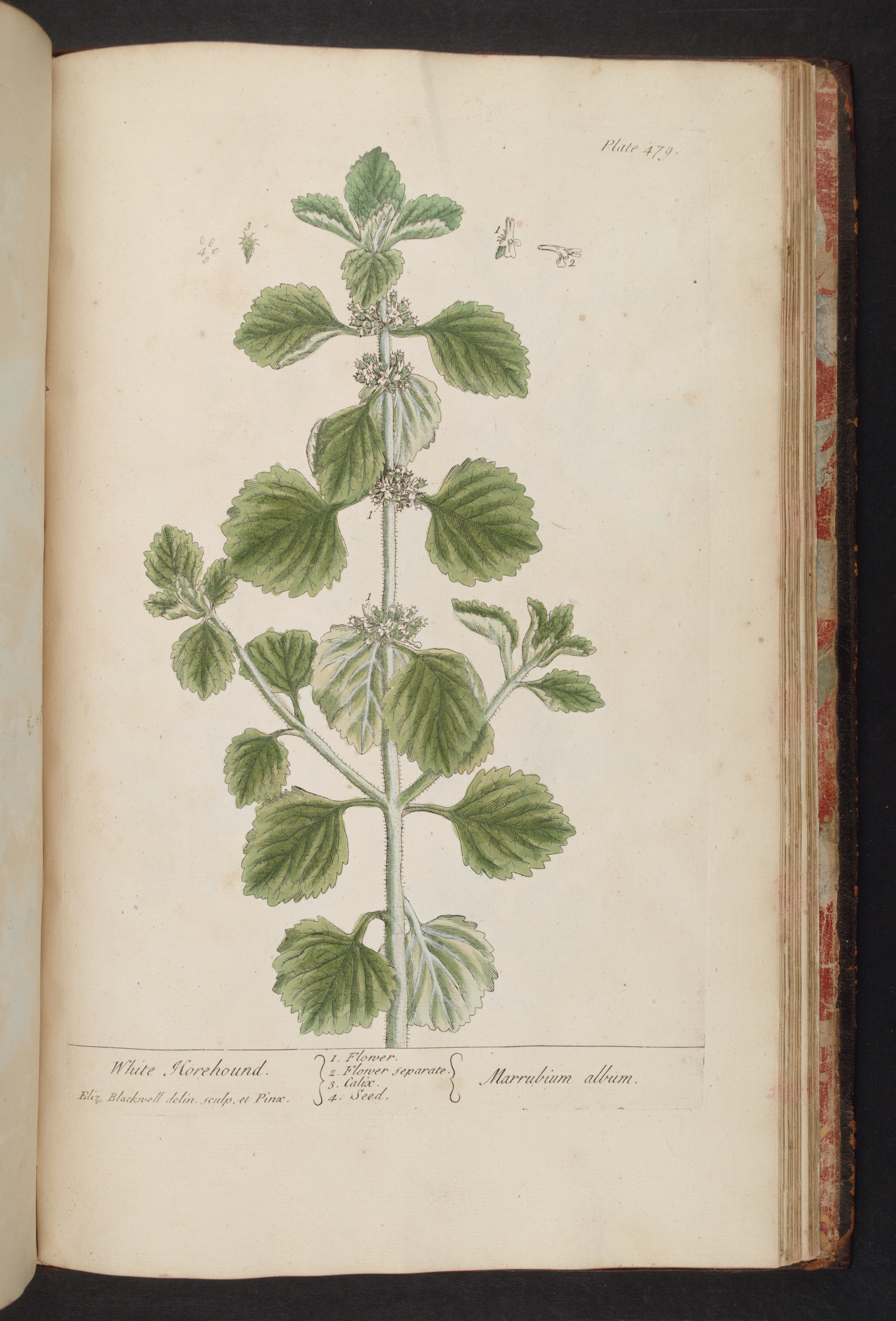 no full size  illustration available (3a)