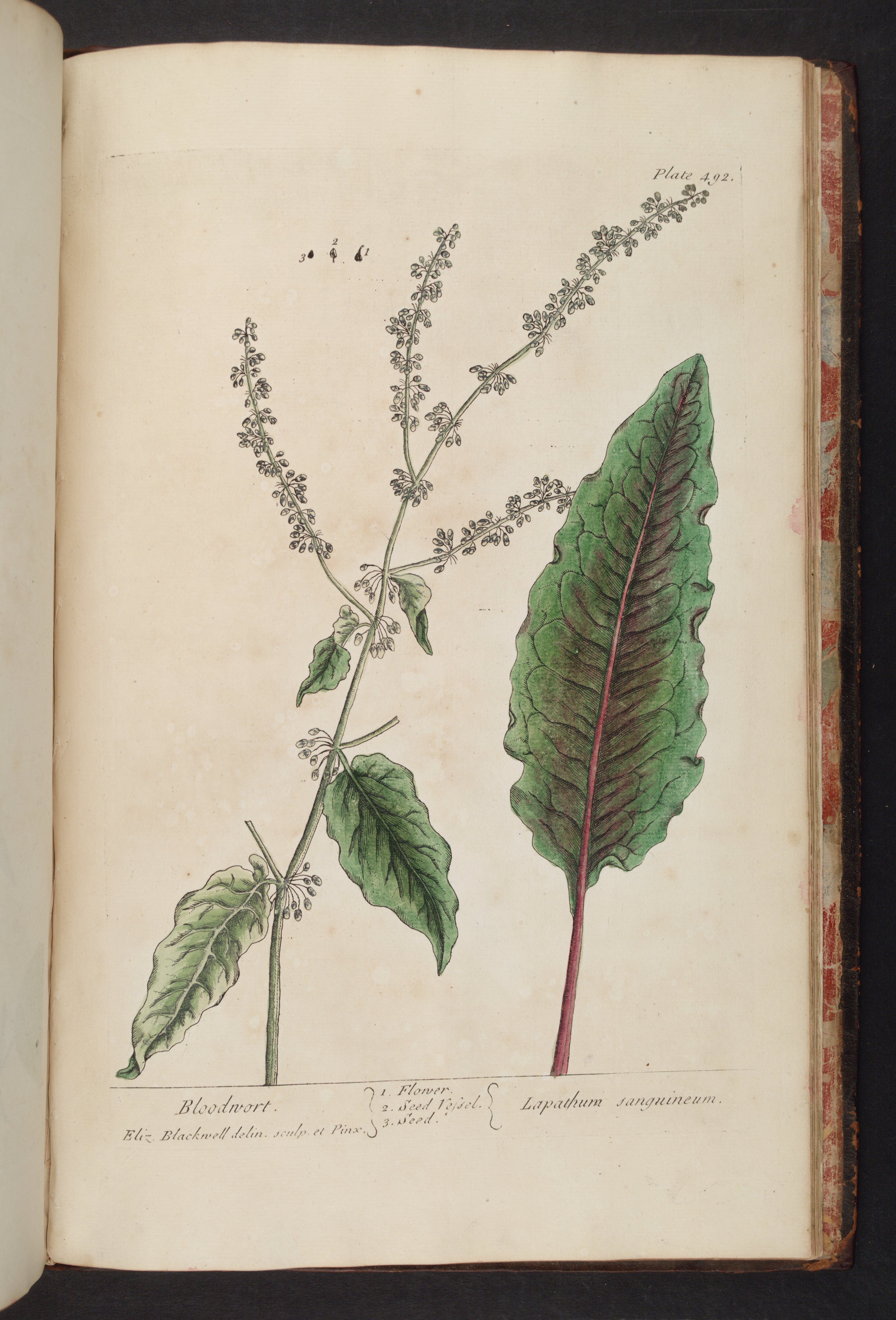 no full size  illustration available (3a)