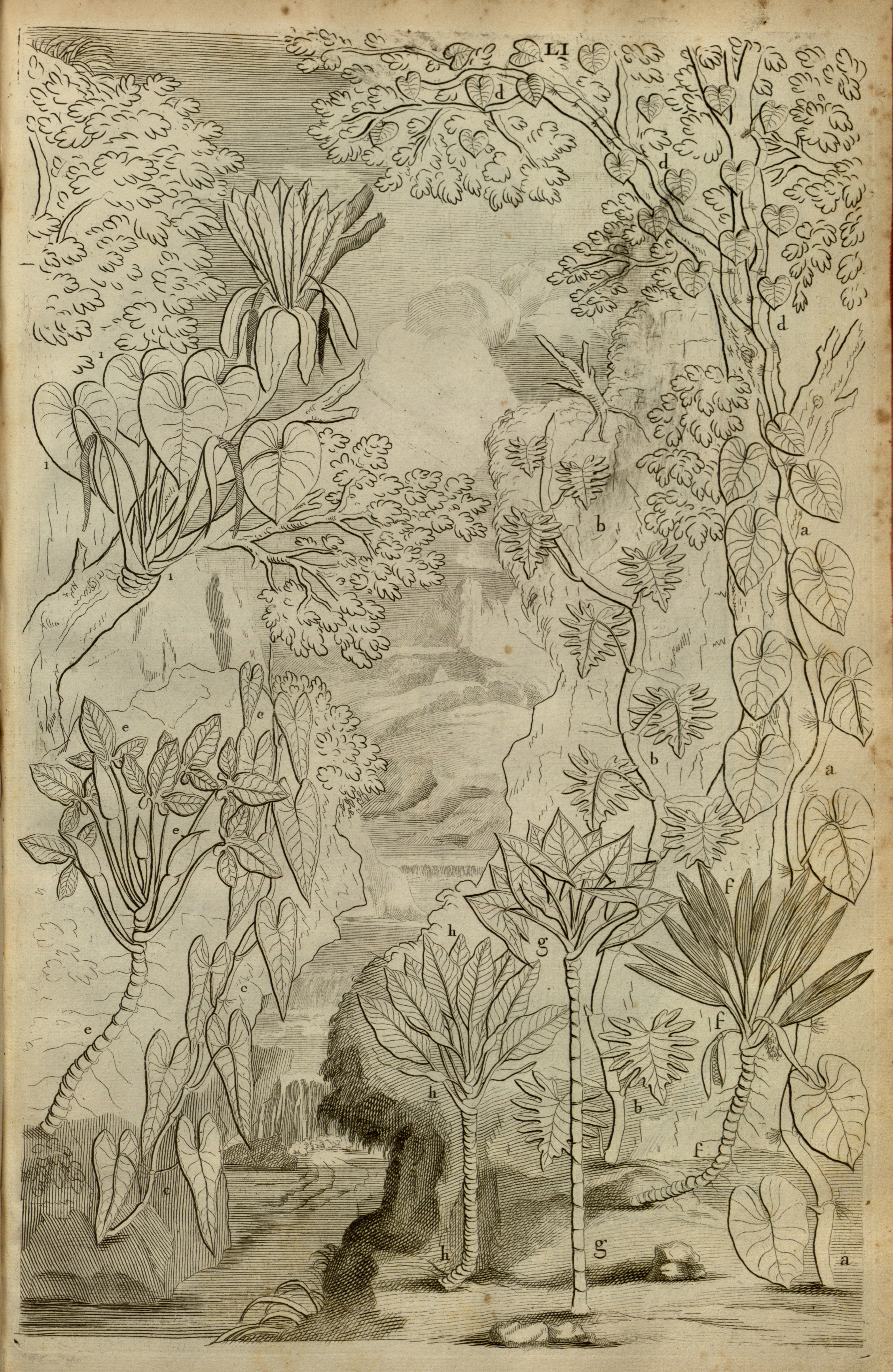 no full size  illustration available (3a)