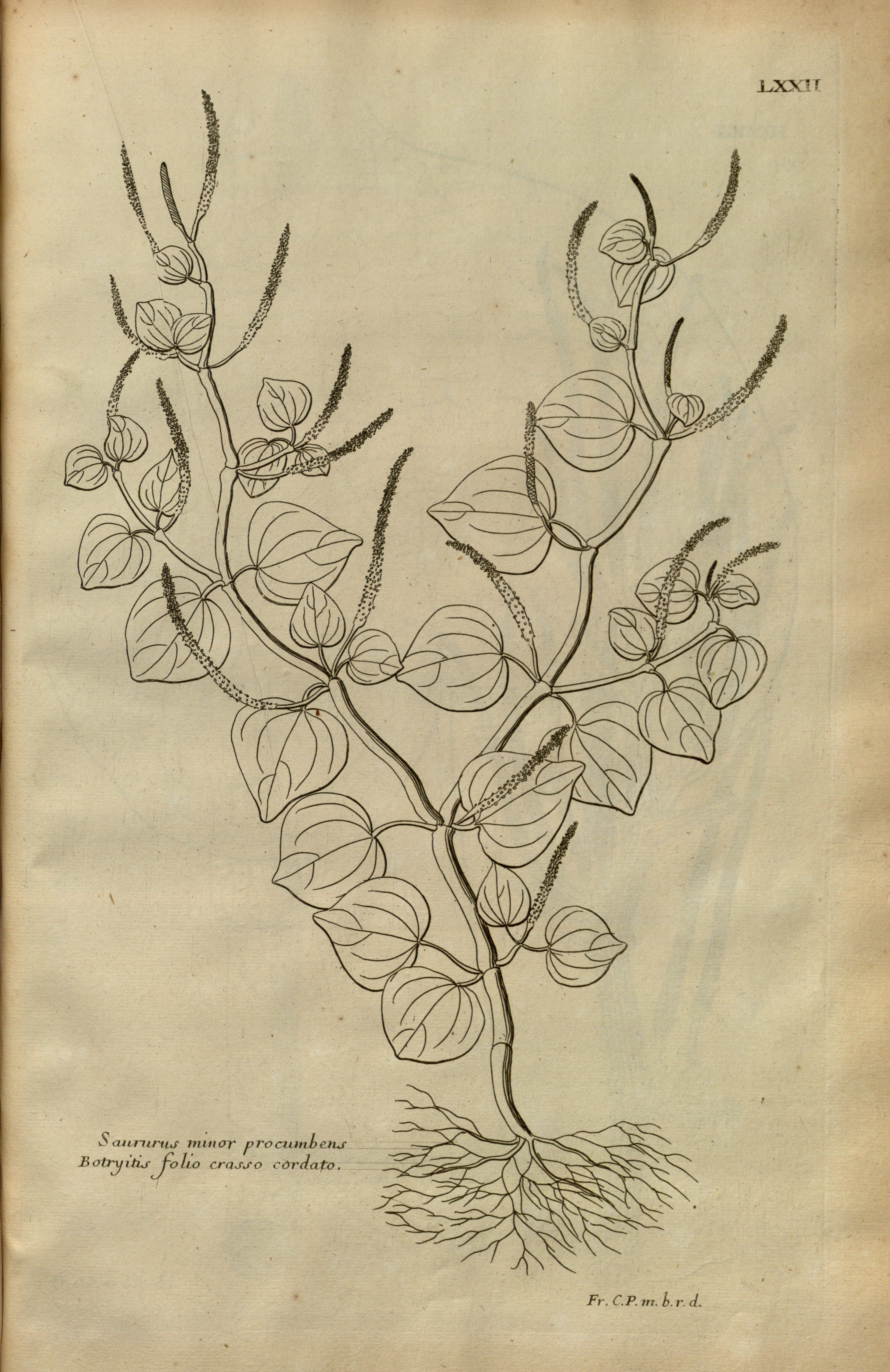 no full size  illustration available (3a)