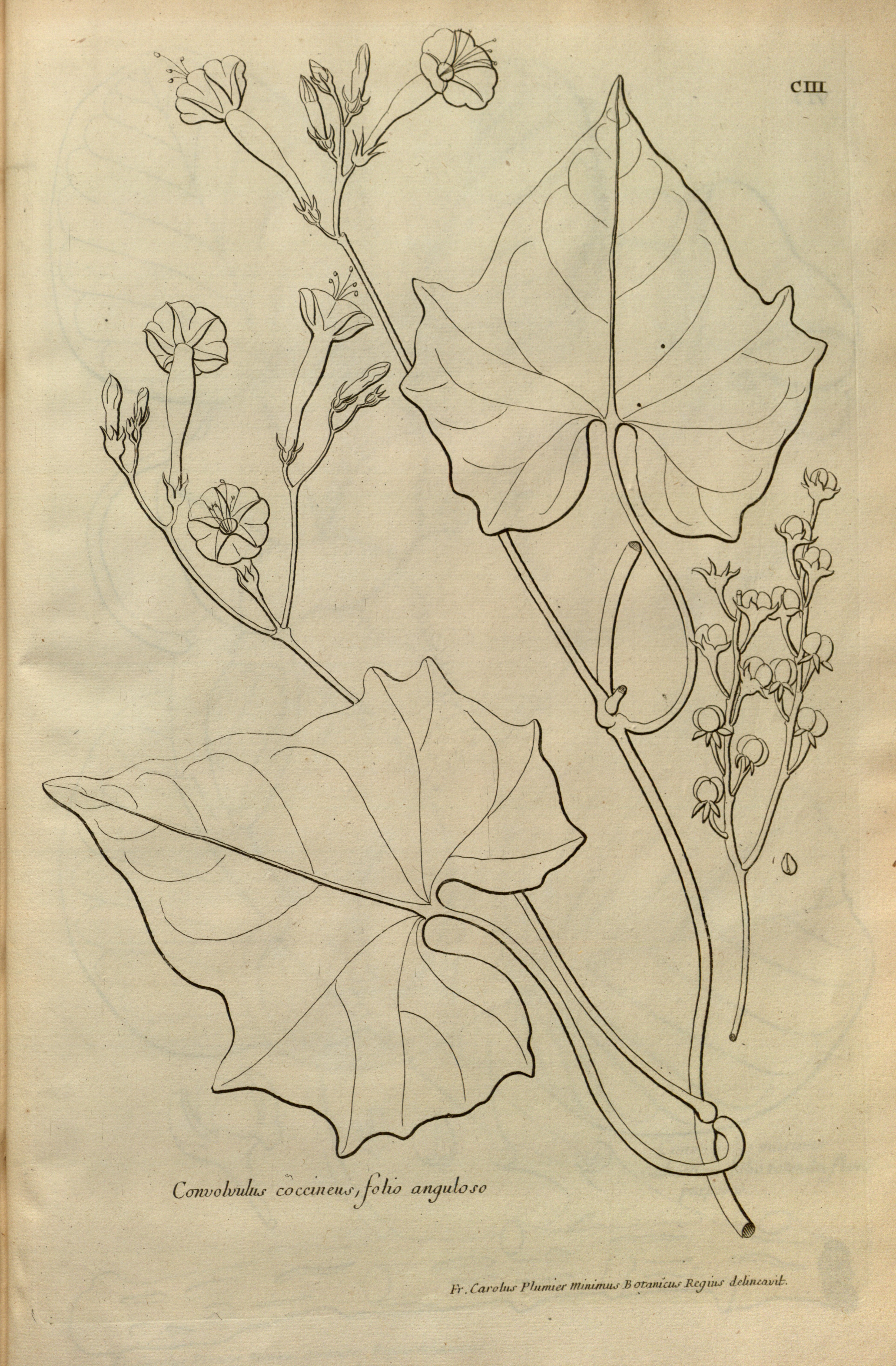 no full size  illustration available (3a)