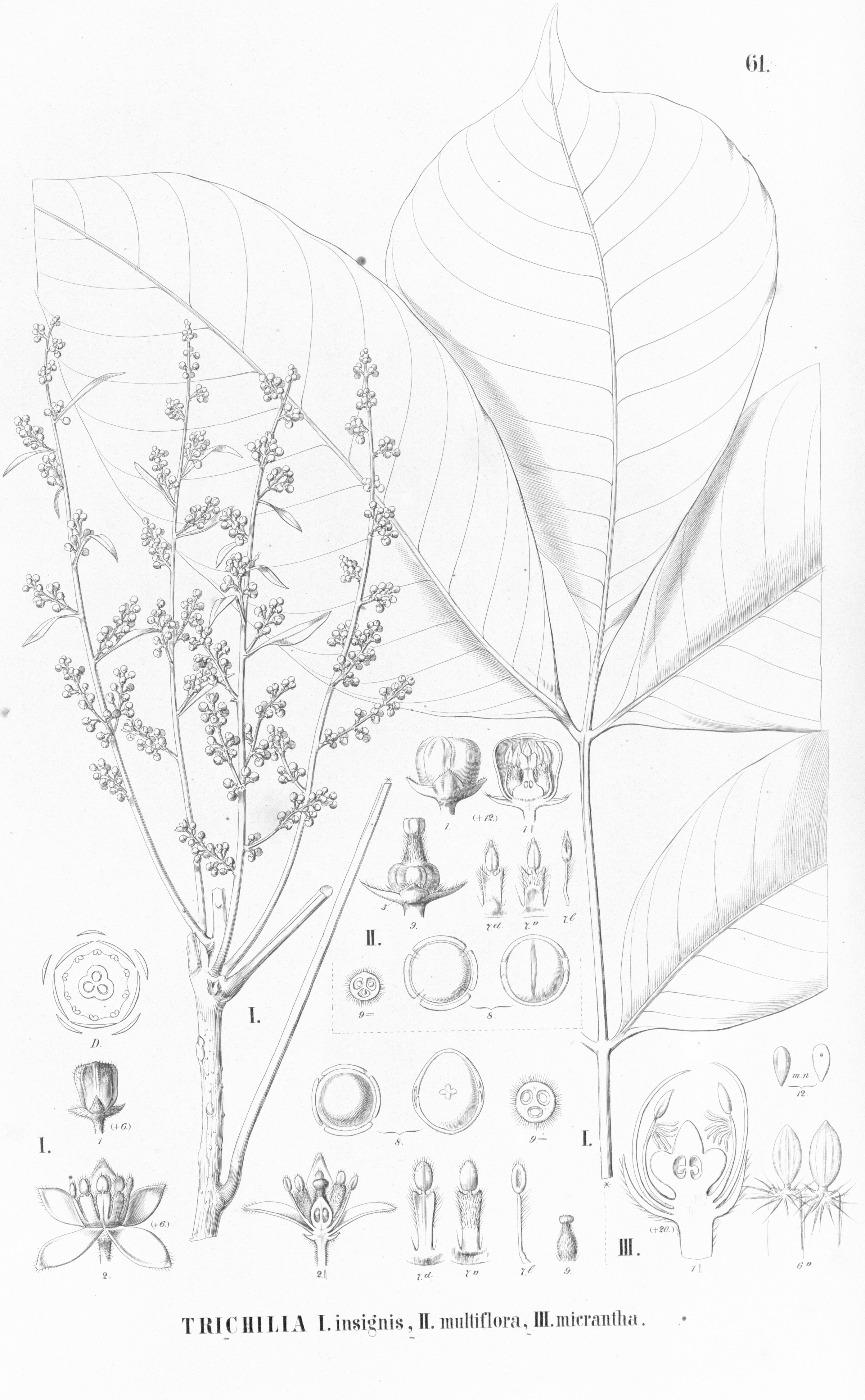 no full size  illustration available (3a)