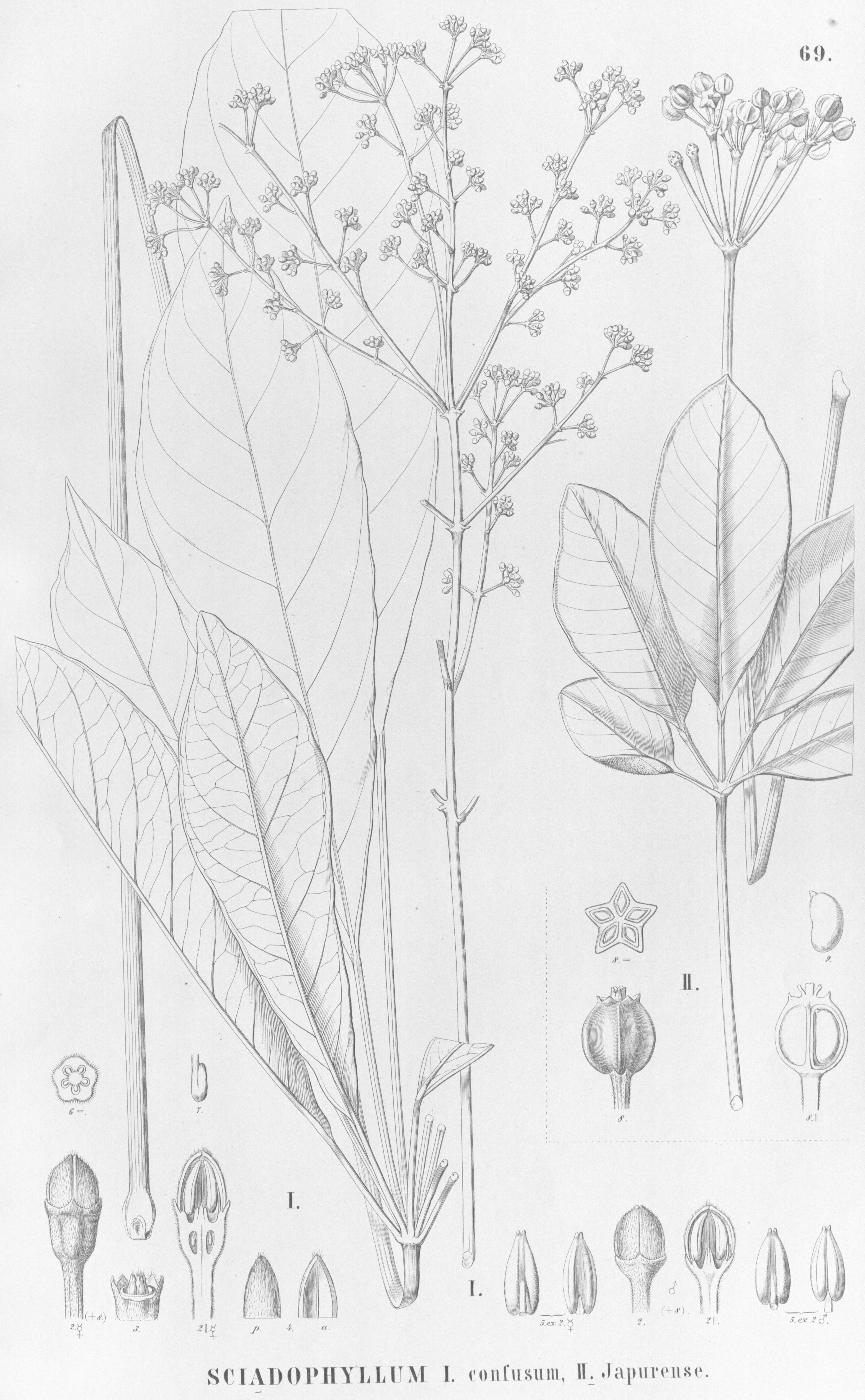 no full size  illustration available (3a)