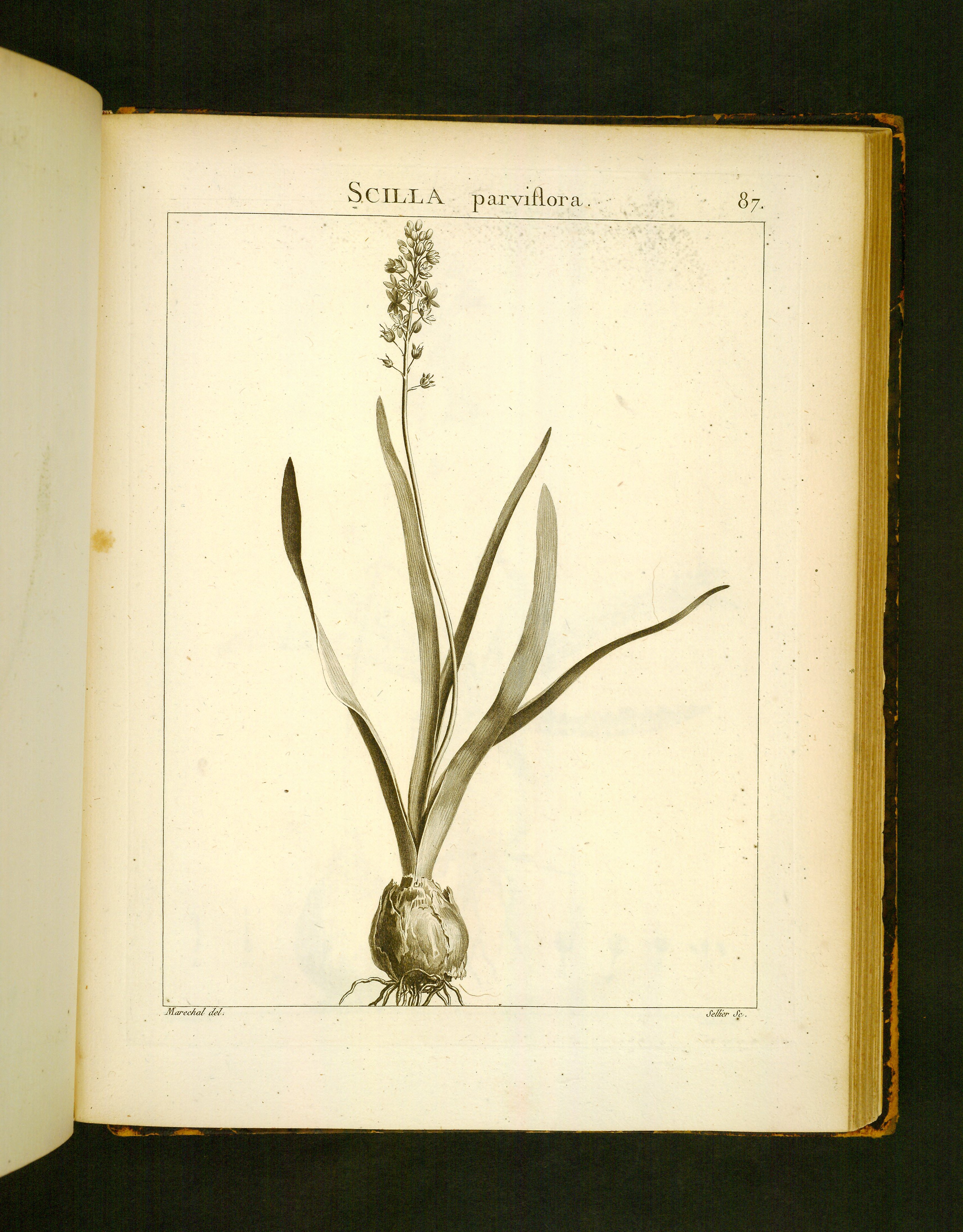 no full size  illustration available (3a)