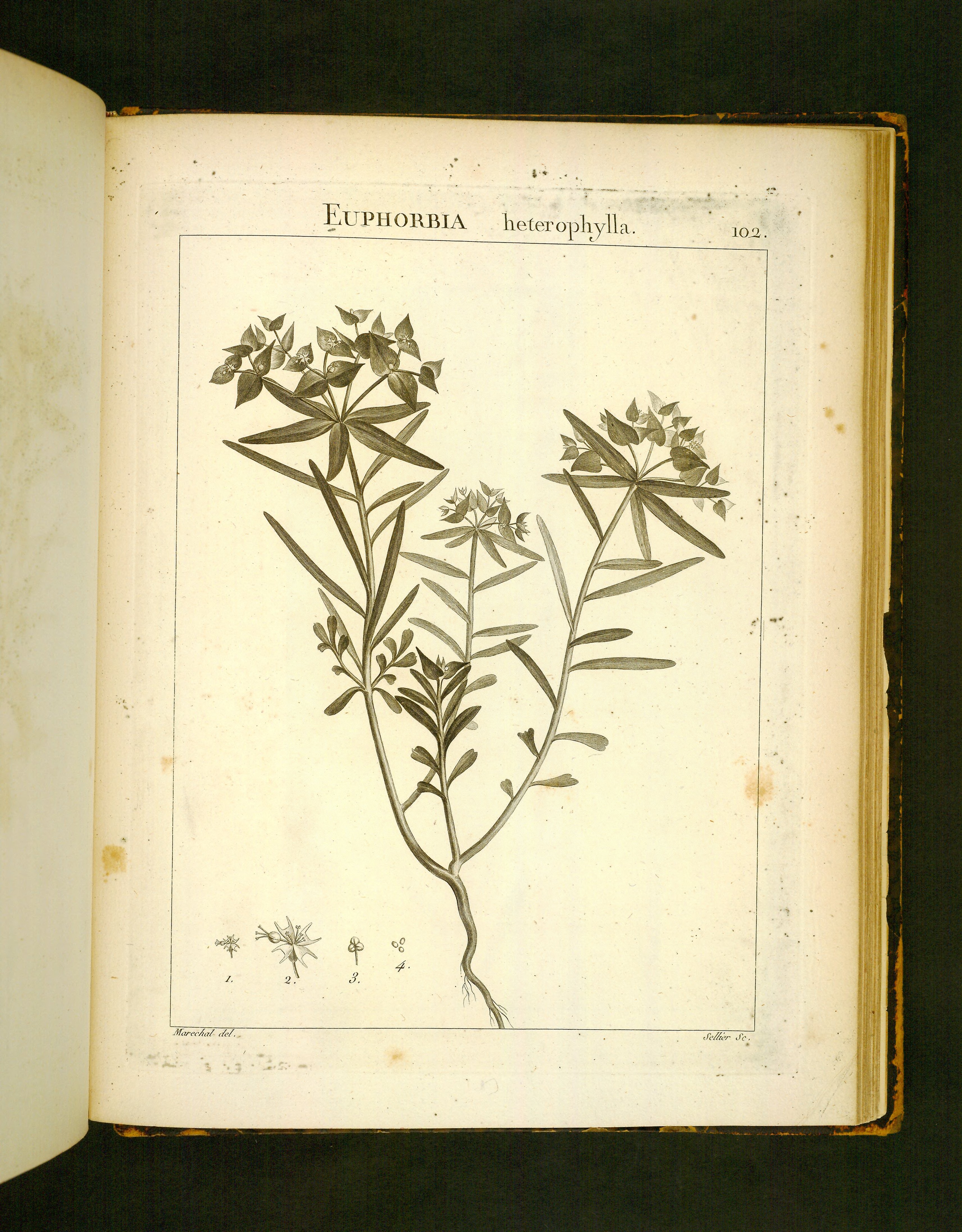 no full size  illustration available (3a)