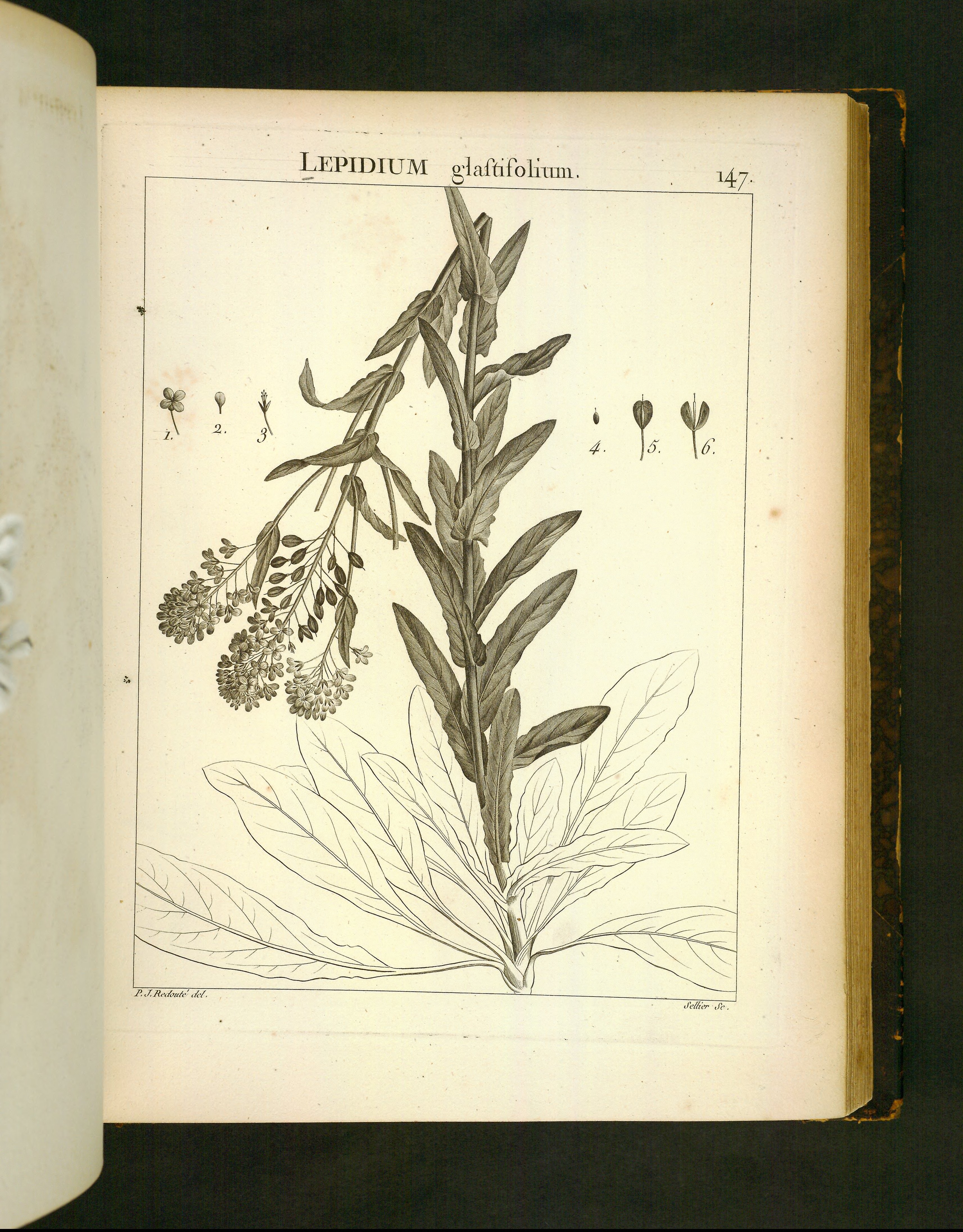 no full size  illustration available (3a)