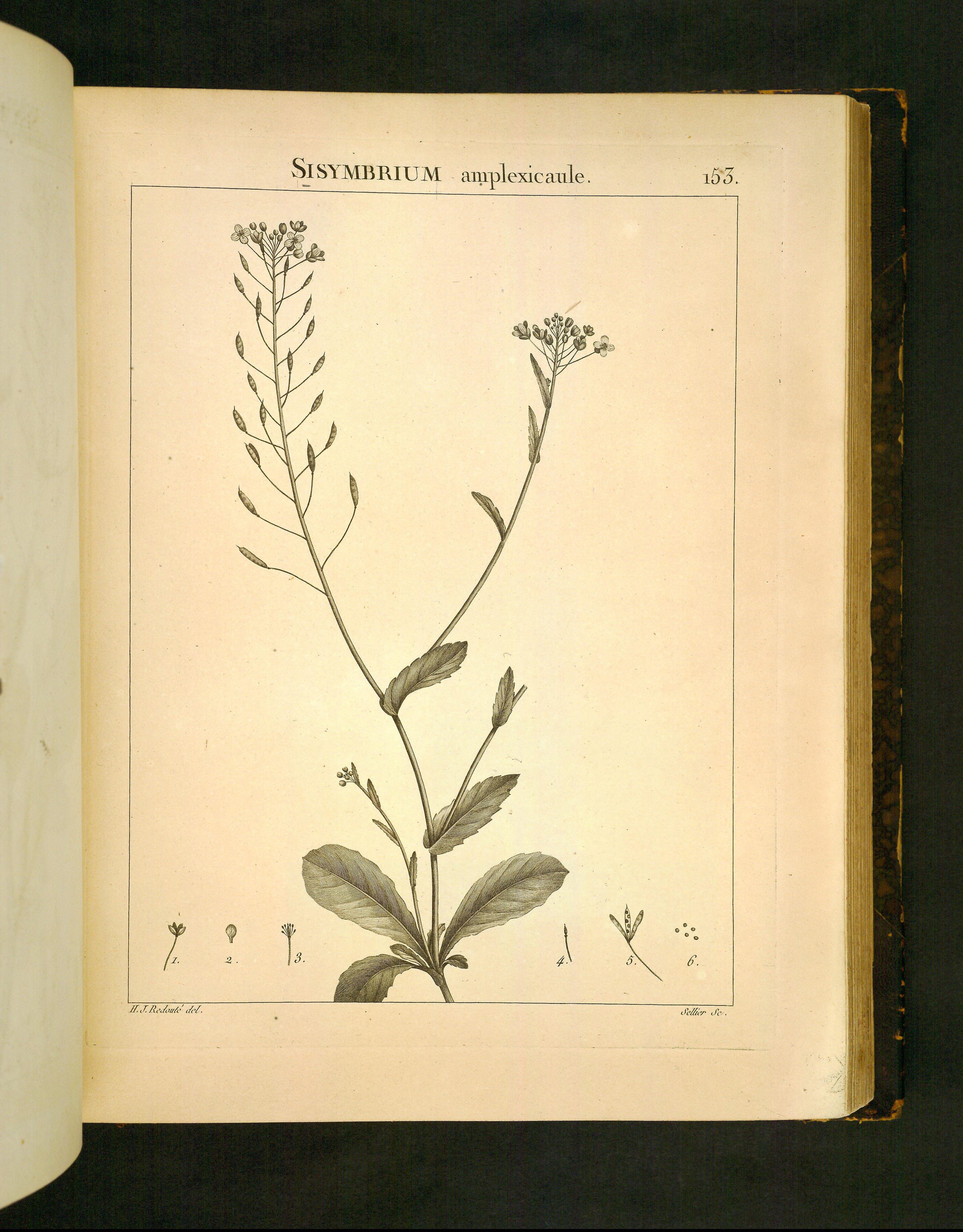 no full size  illustration available (3a)