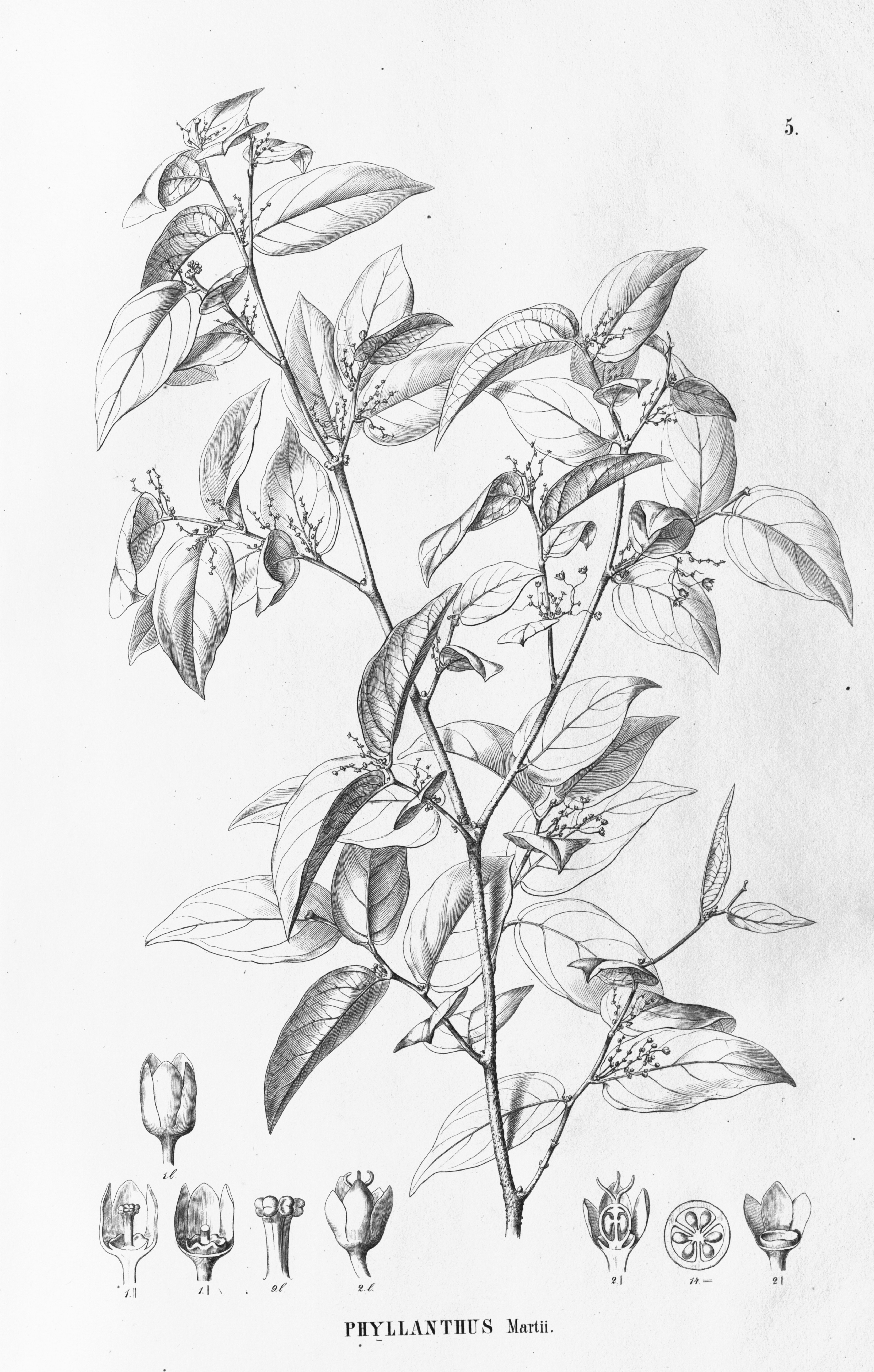 no full size  illustration available (3a)