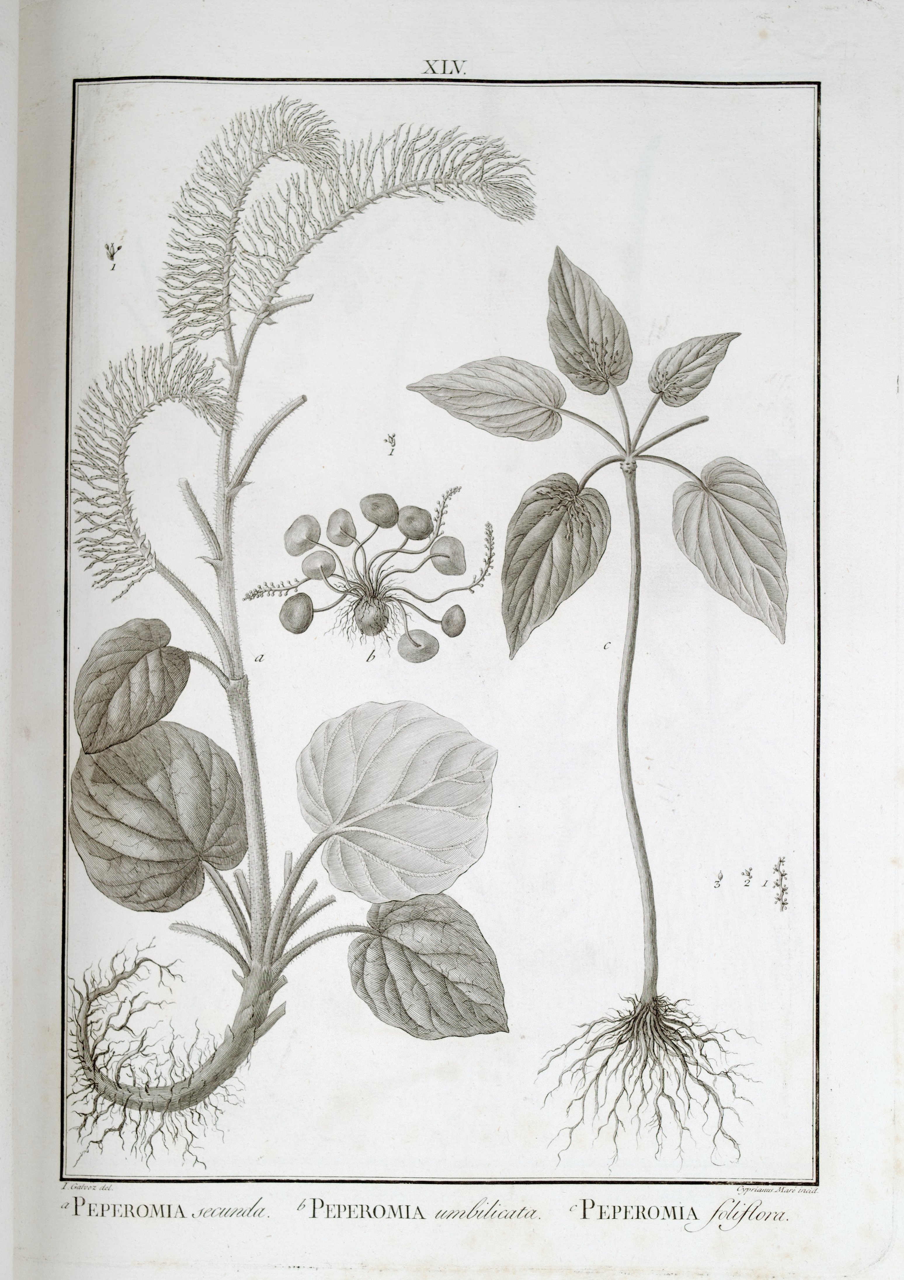 no full size  illustration available (3a)