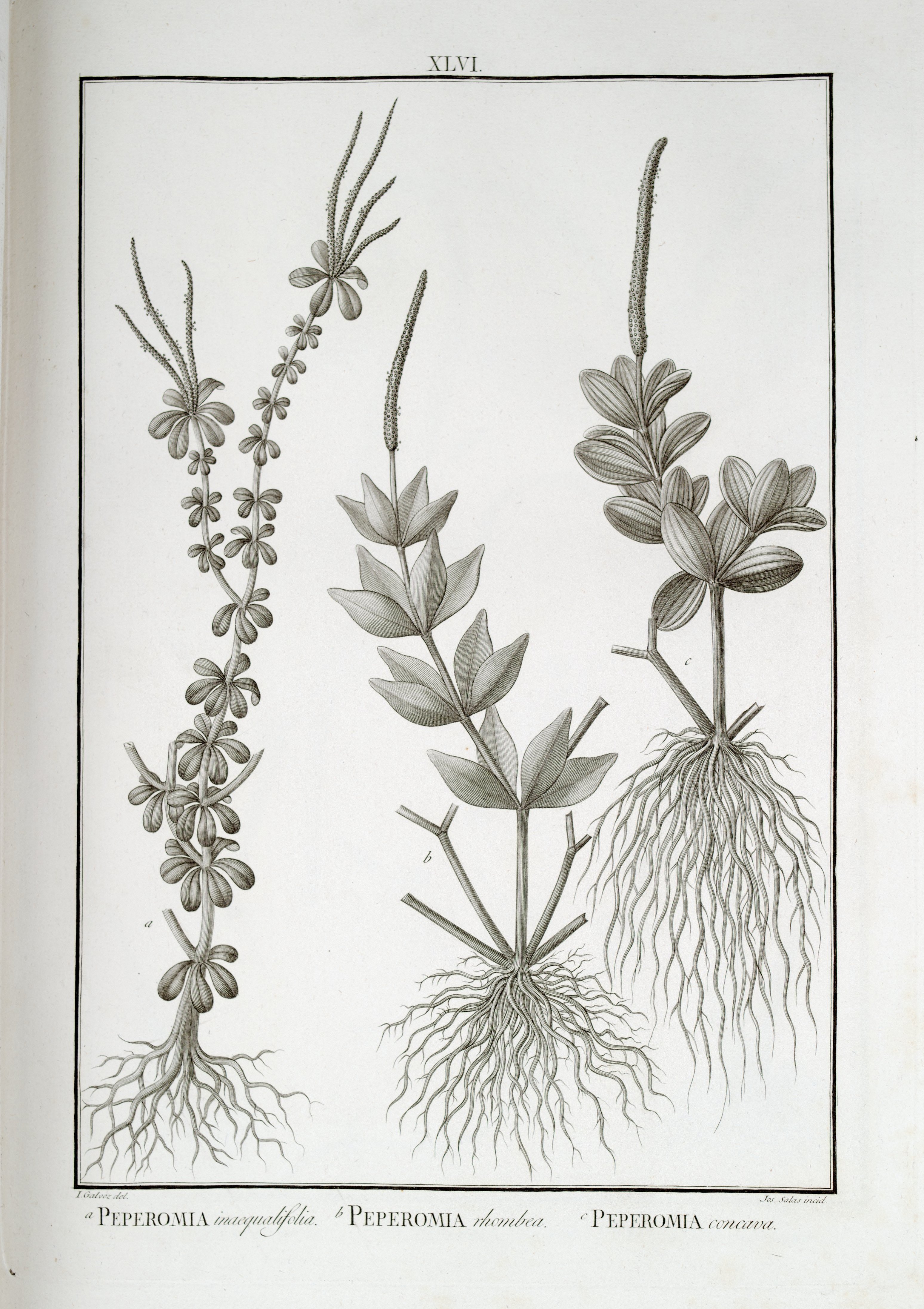 no full size  illustration available (3a)