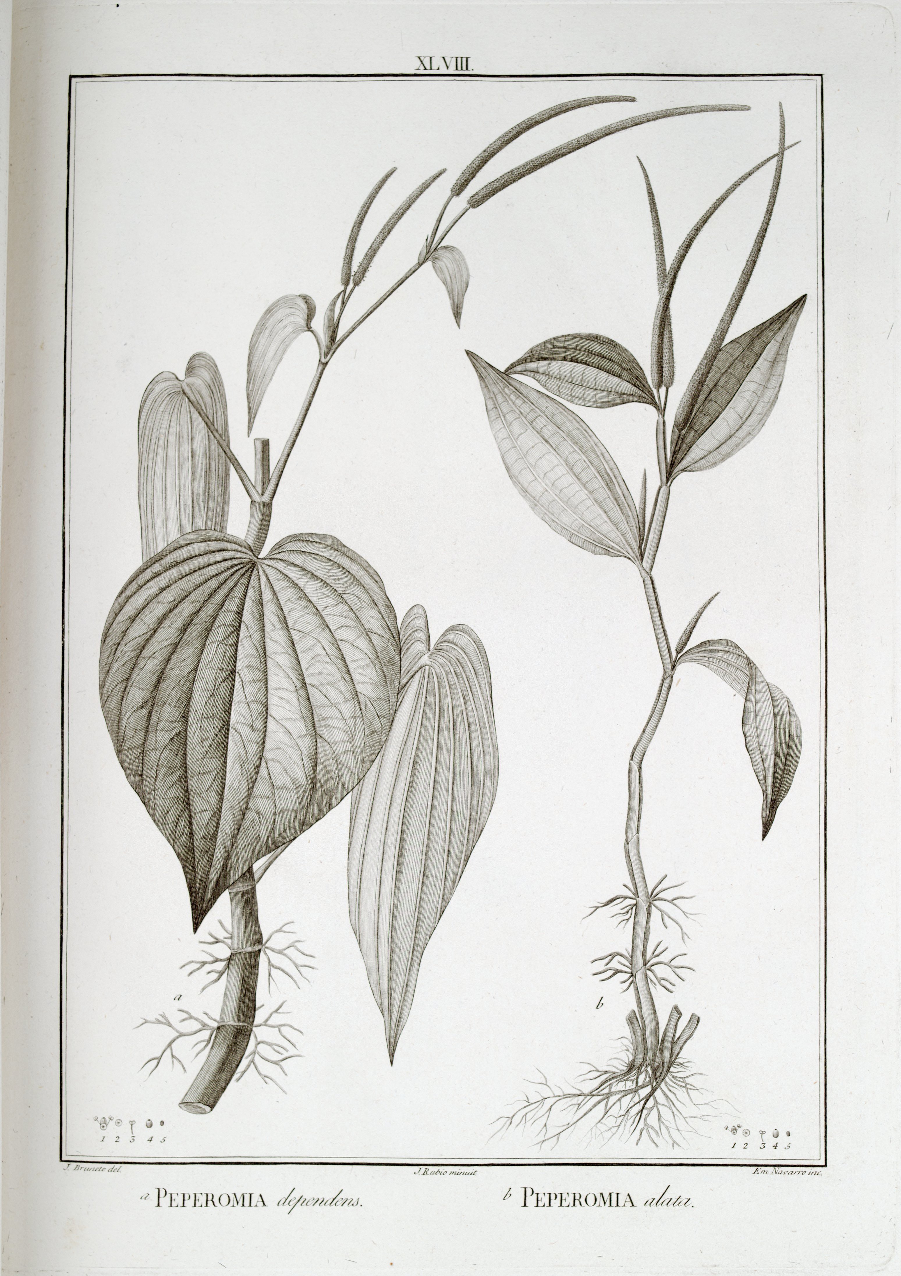 no full size  illustration available (3a)