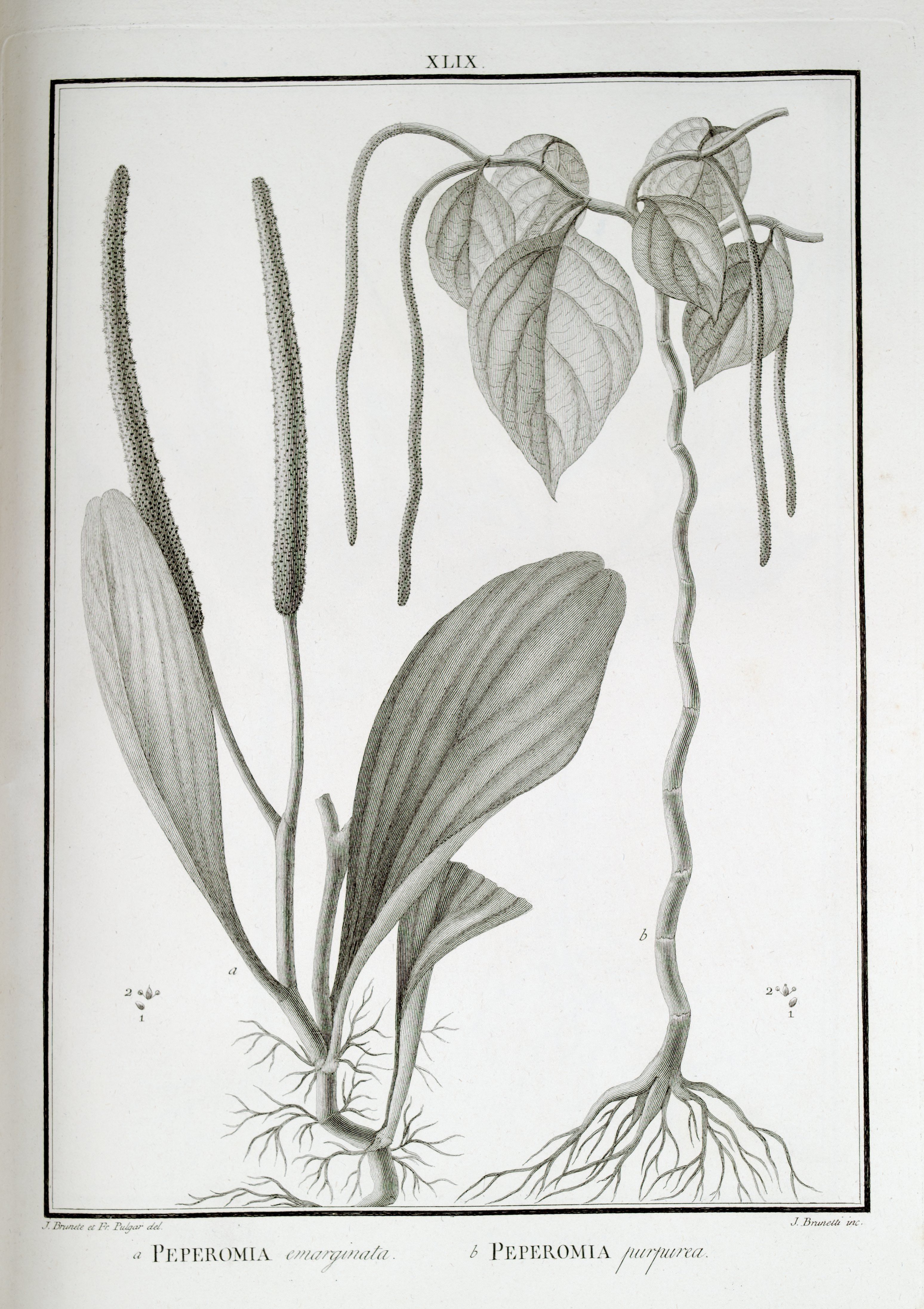 no full size  illustration available (3a)