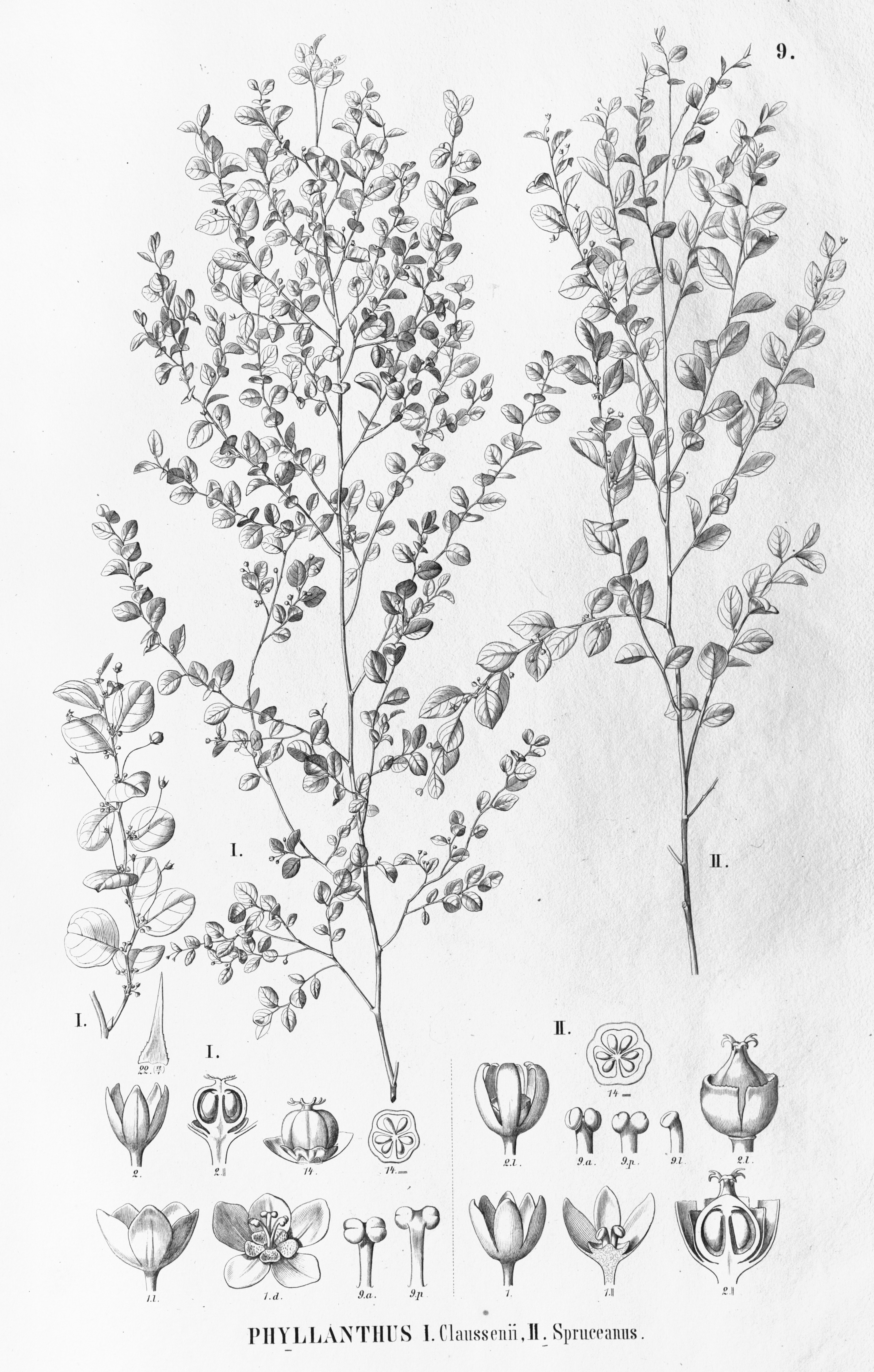 no full size  illustration available (3a)