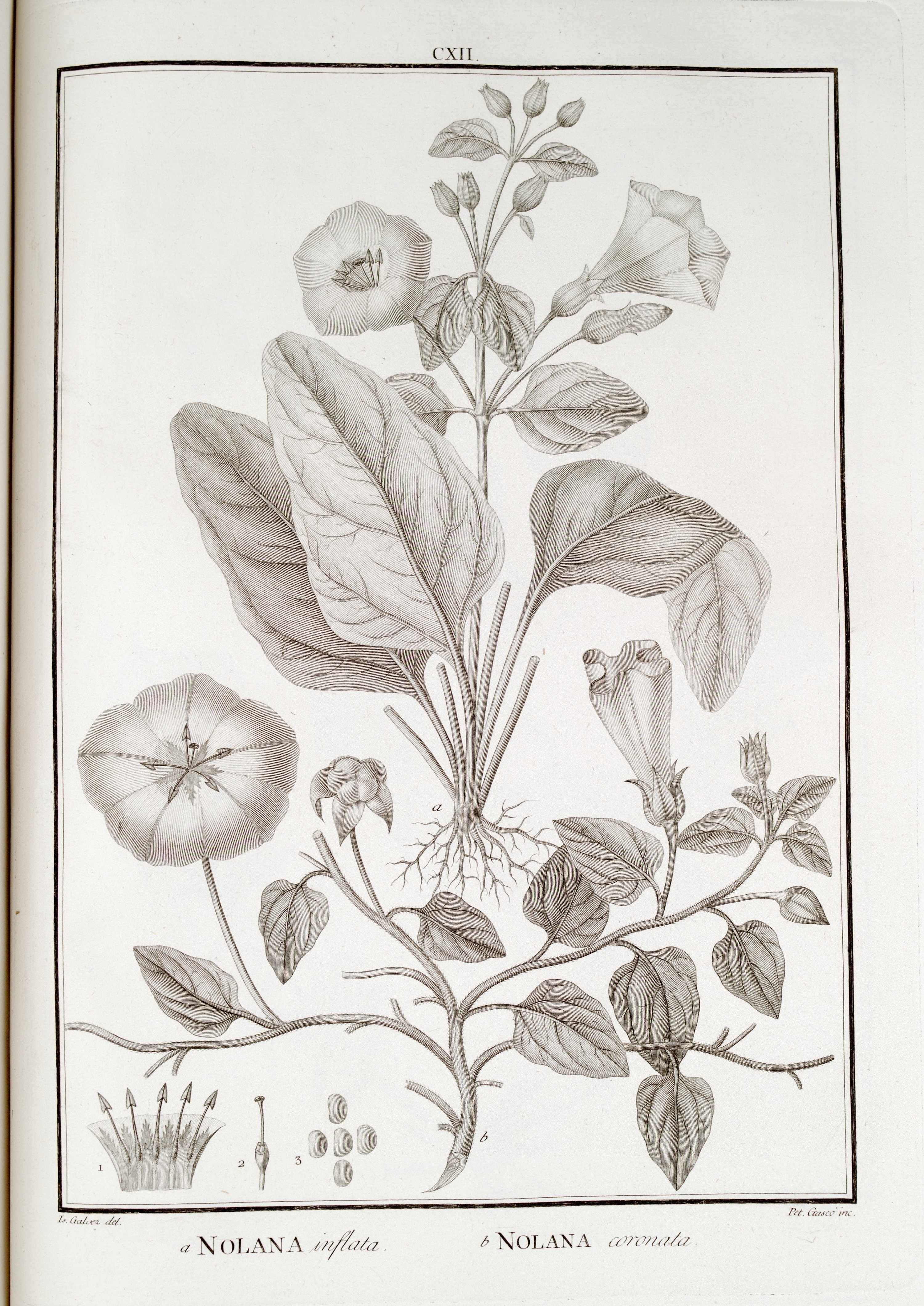 no full size  illustration available (3a)