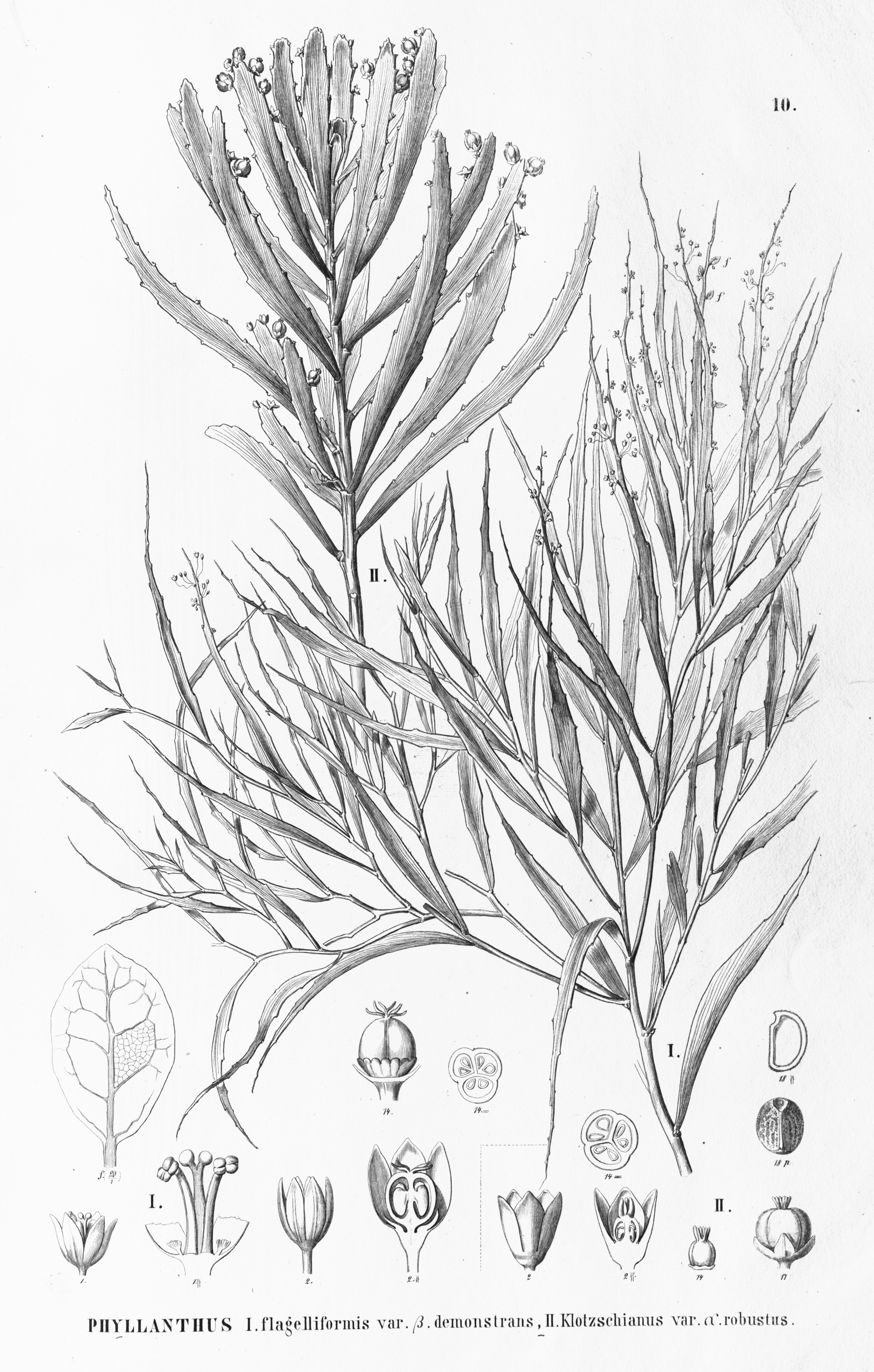 no full size  illustration available (3a)