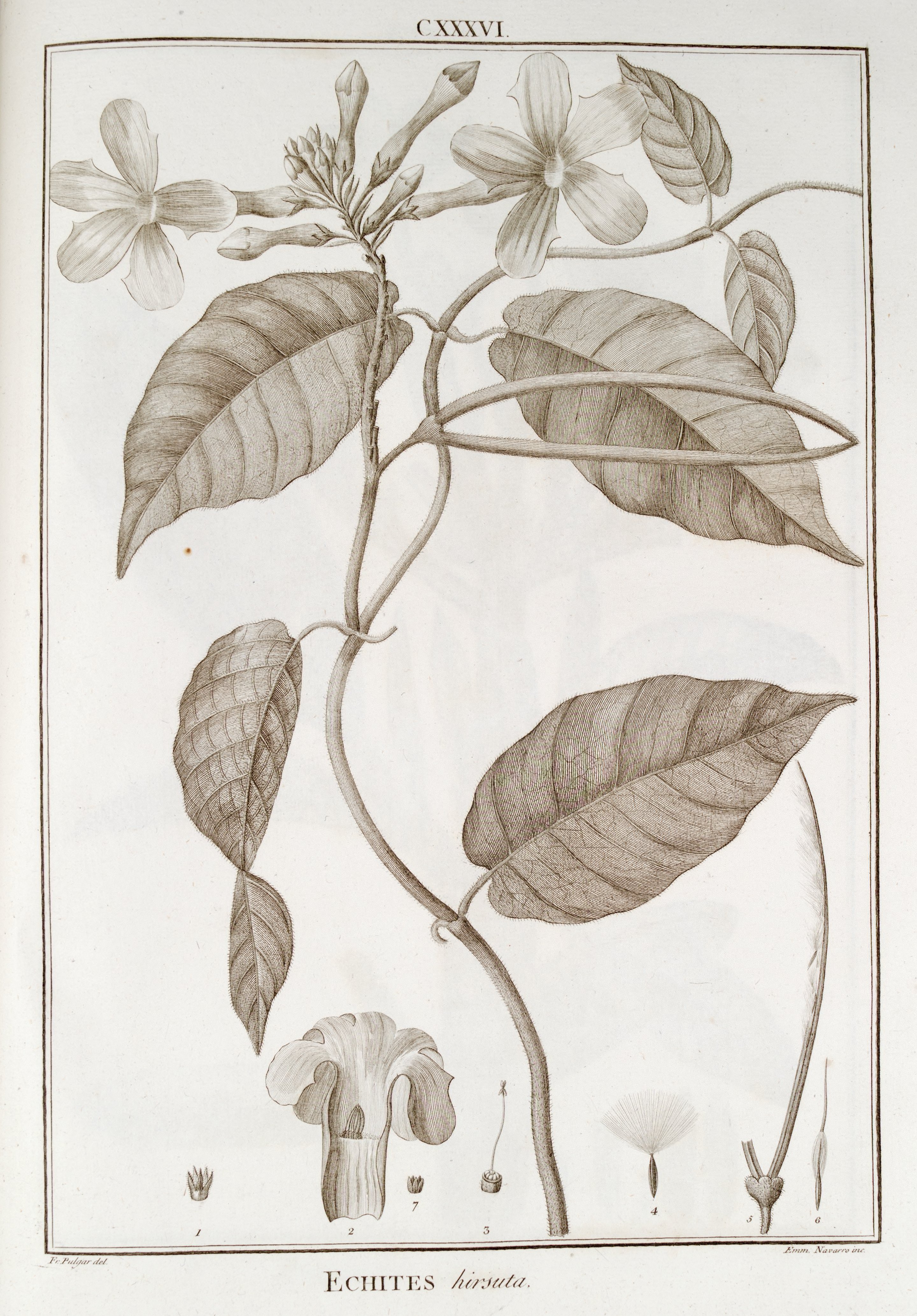 no full size  illustration available (3a)