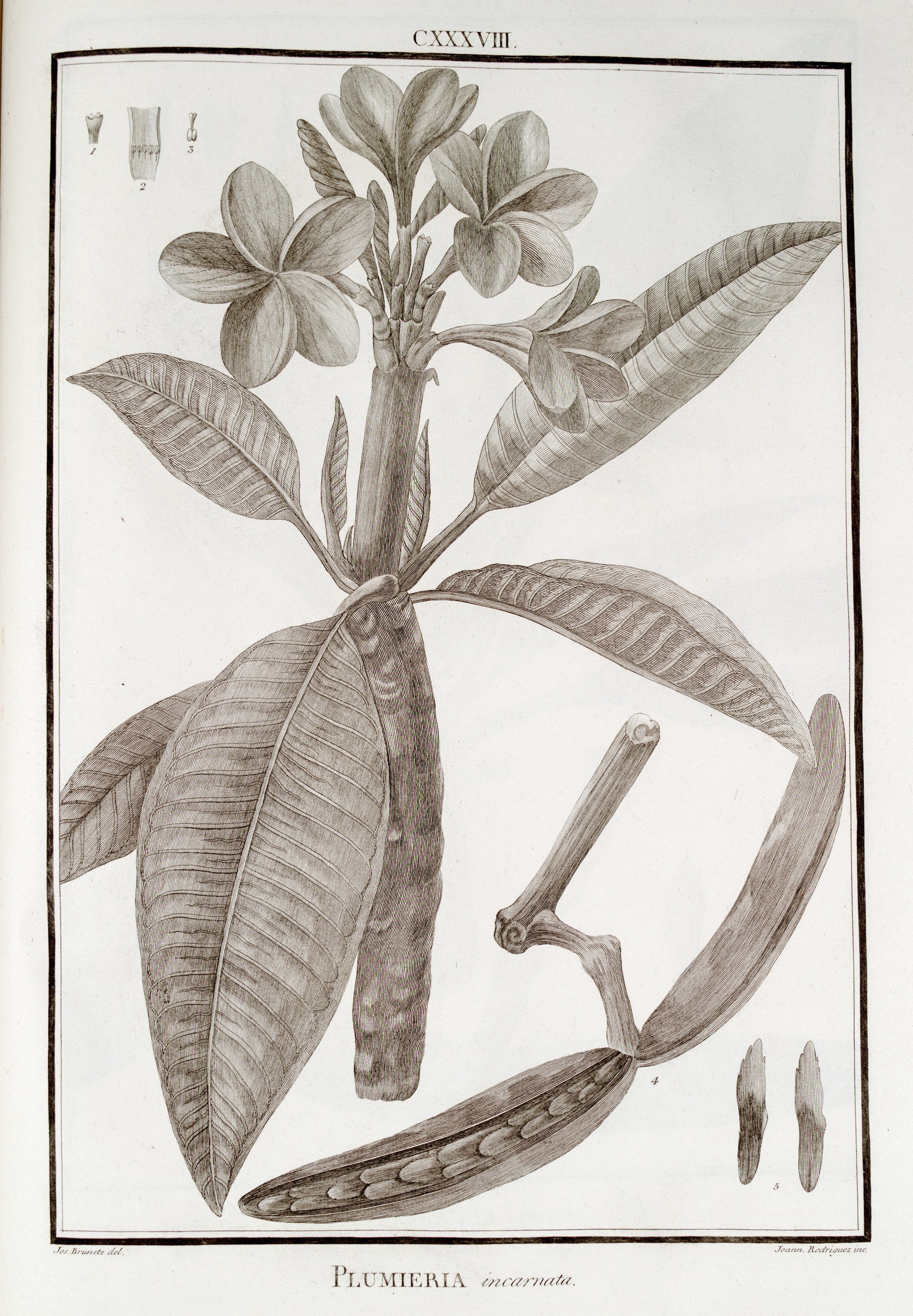 no full size  illustration available (3a)