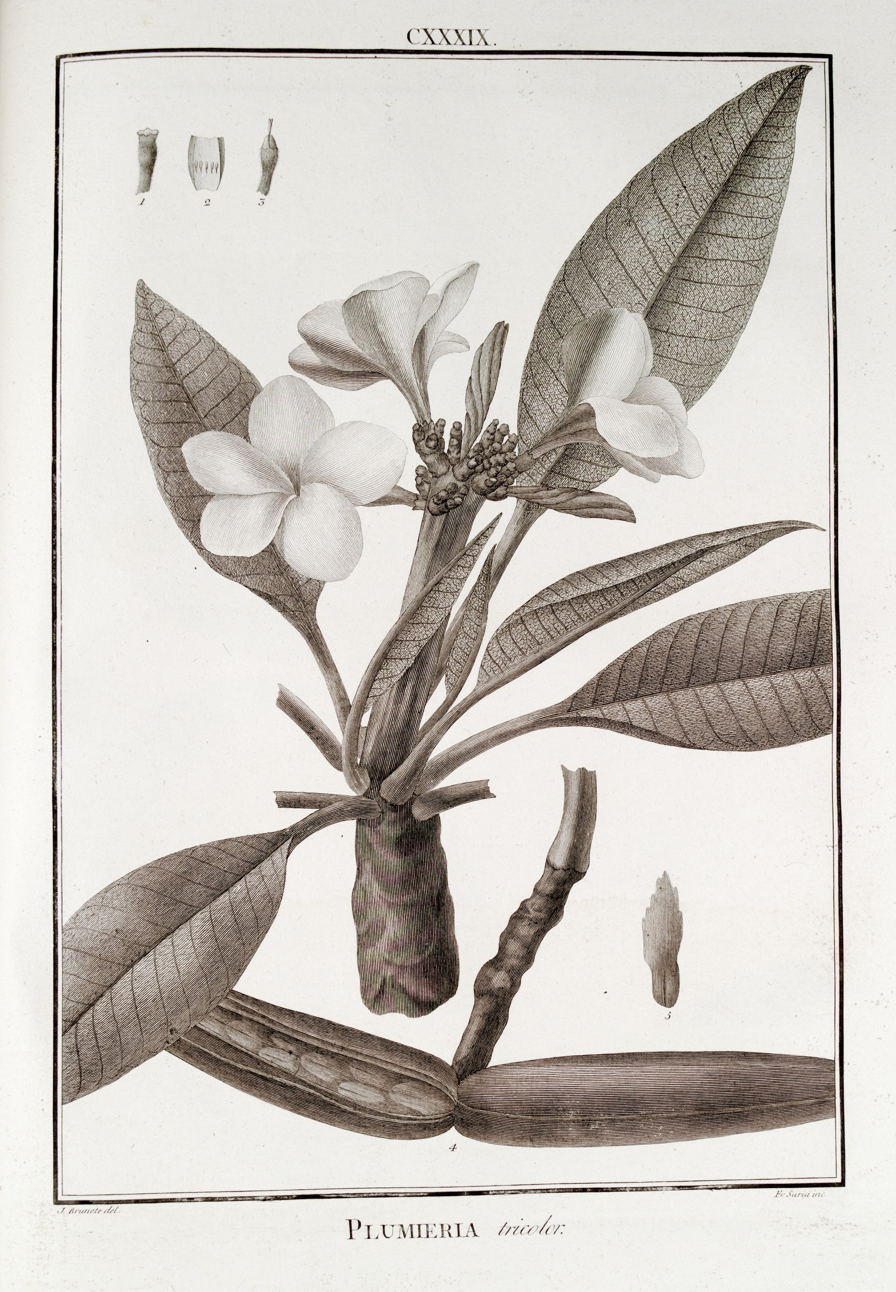 no full size  illustration available (3a)