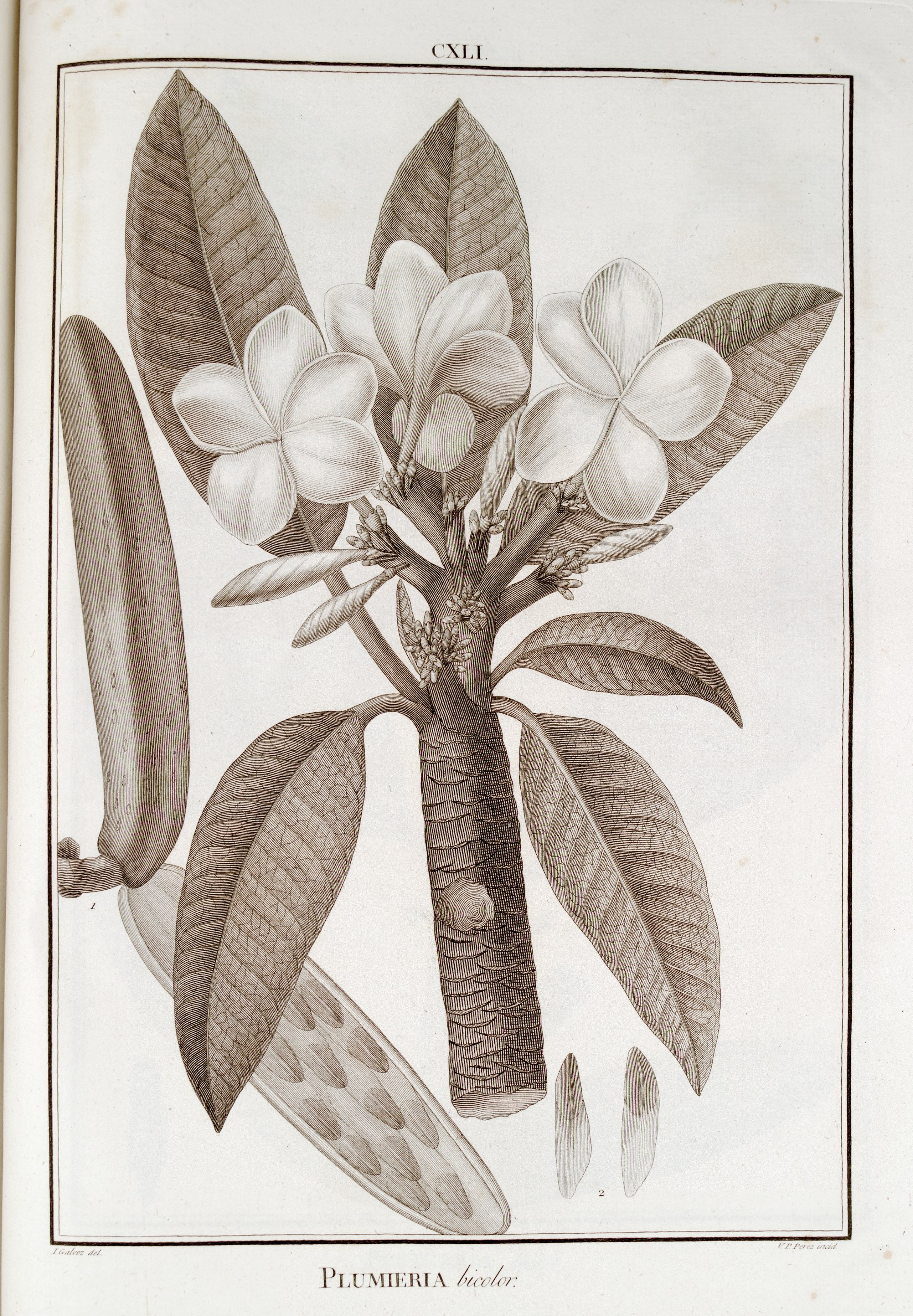 no full size  illustration available (3a)