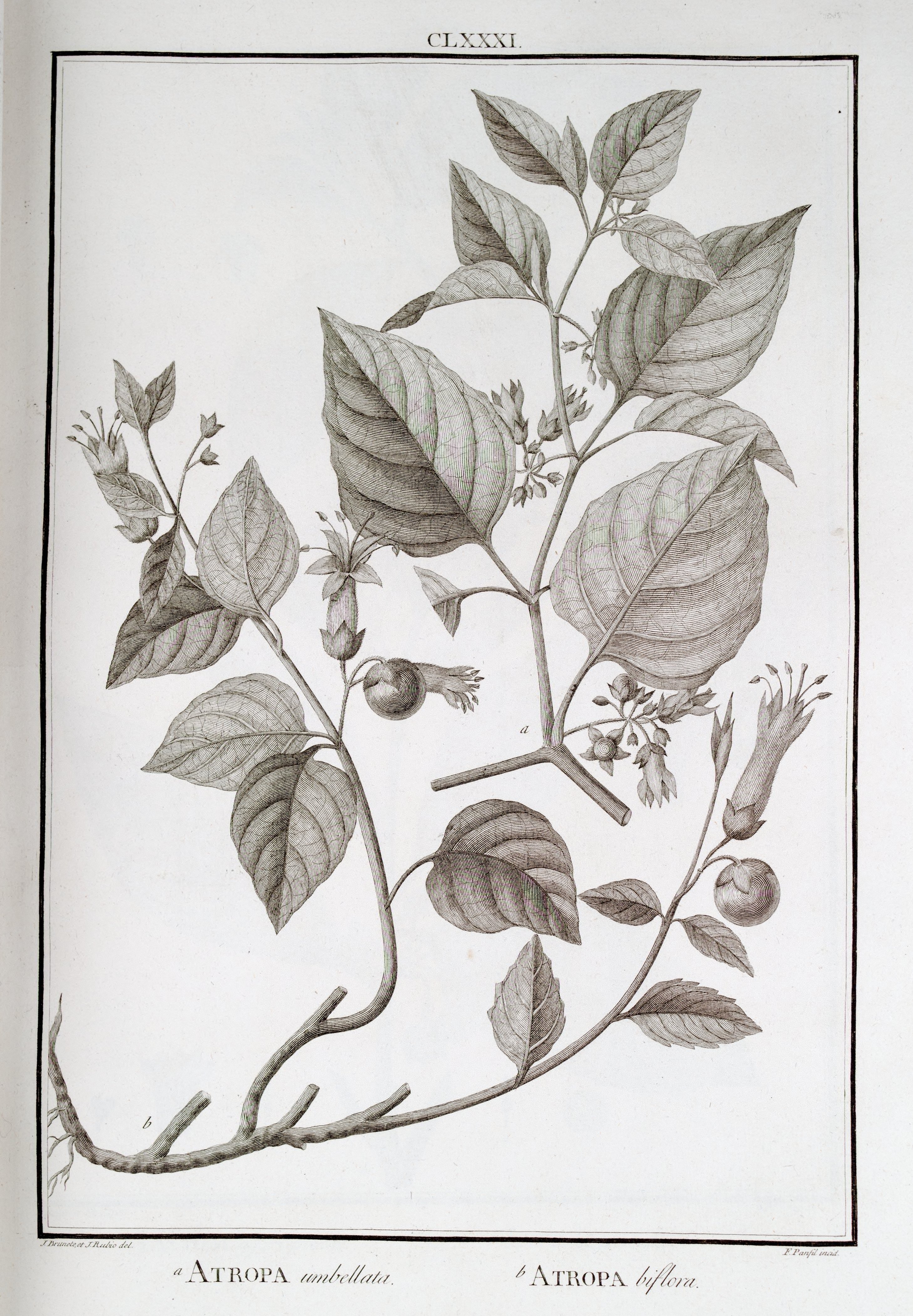 no full size  illustration available (3a)