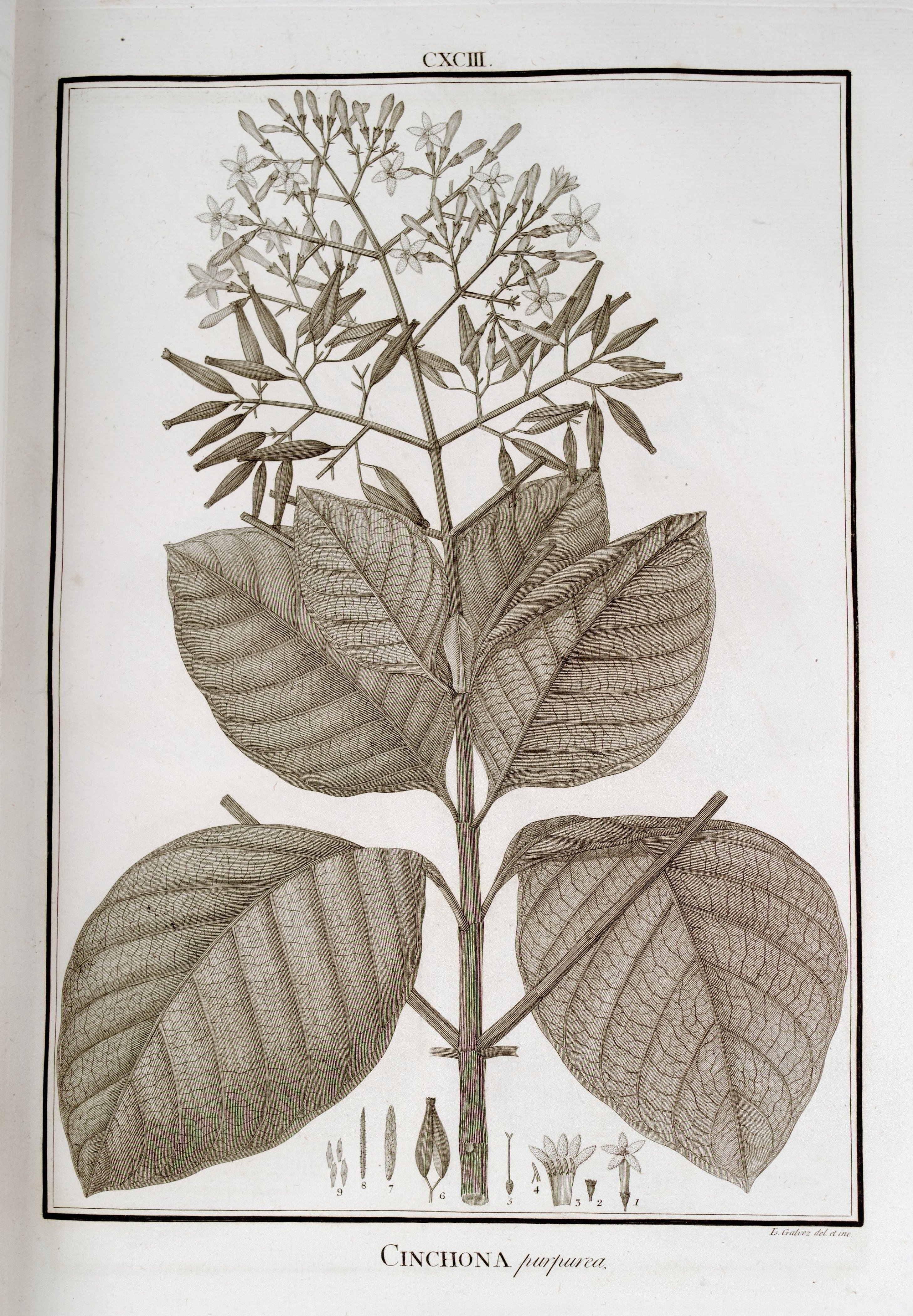 no full size  illustration available (3a)