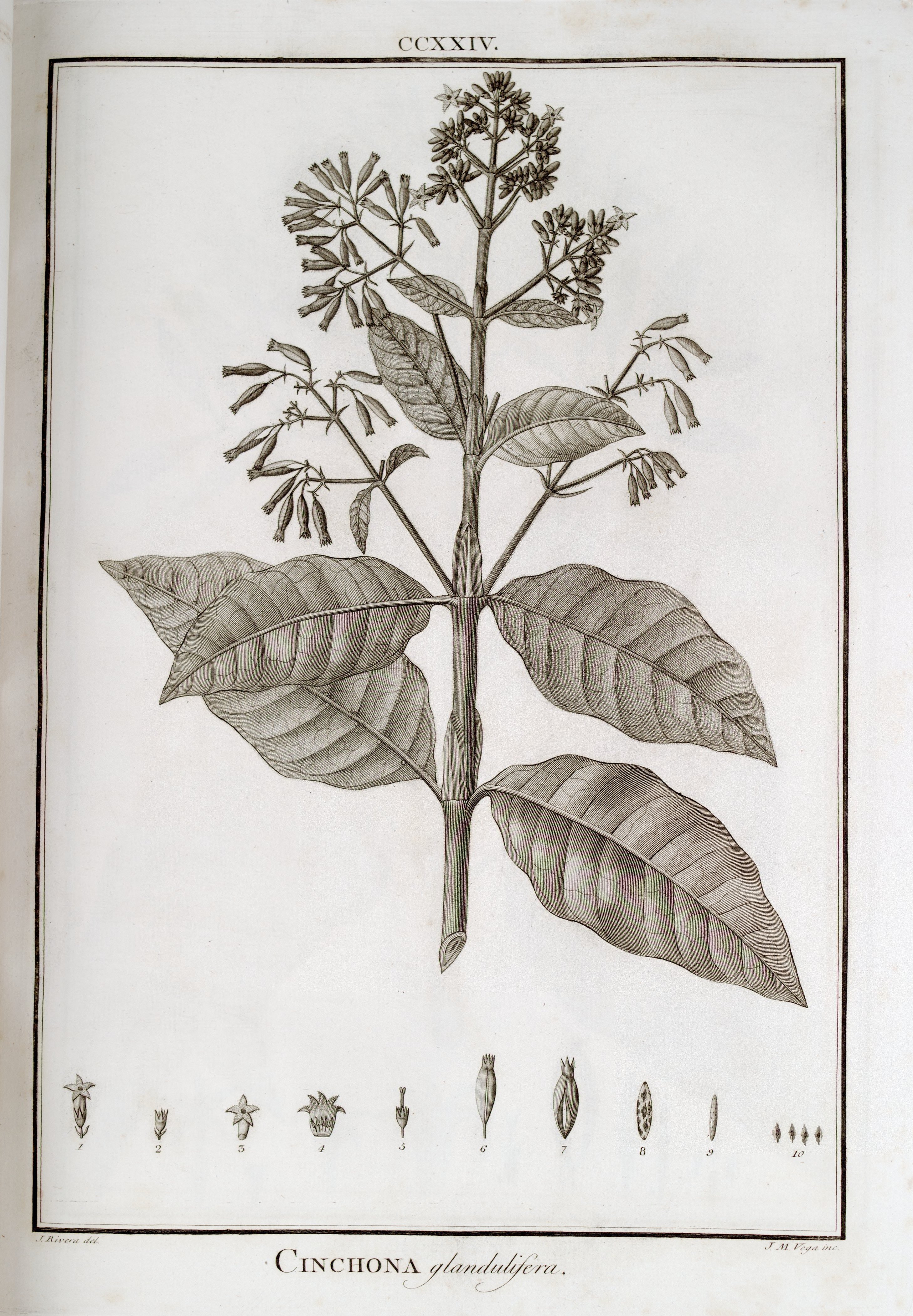 no full size  illustration available (3a)