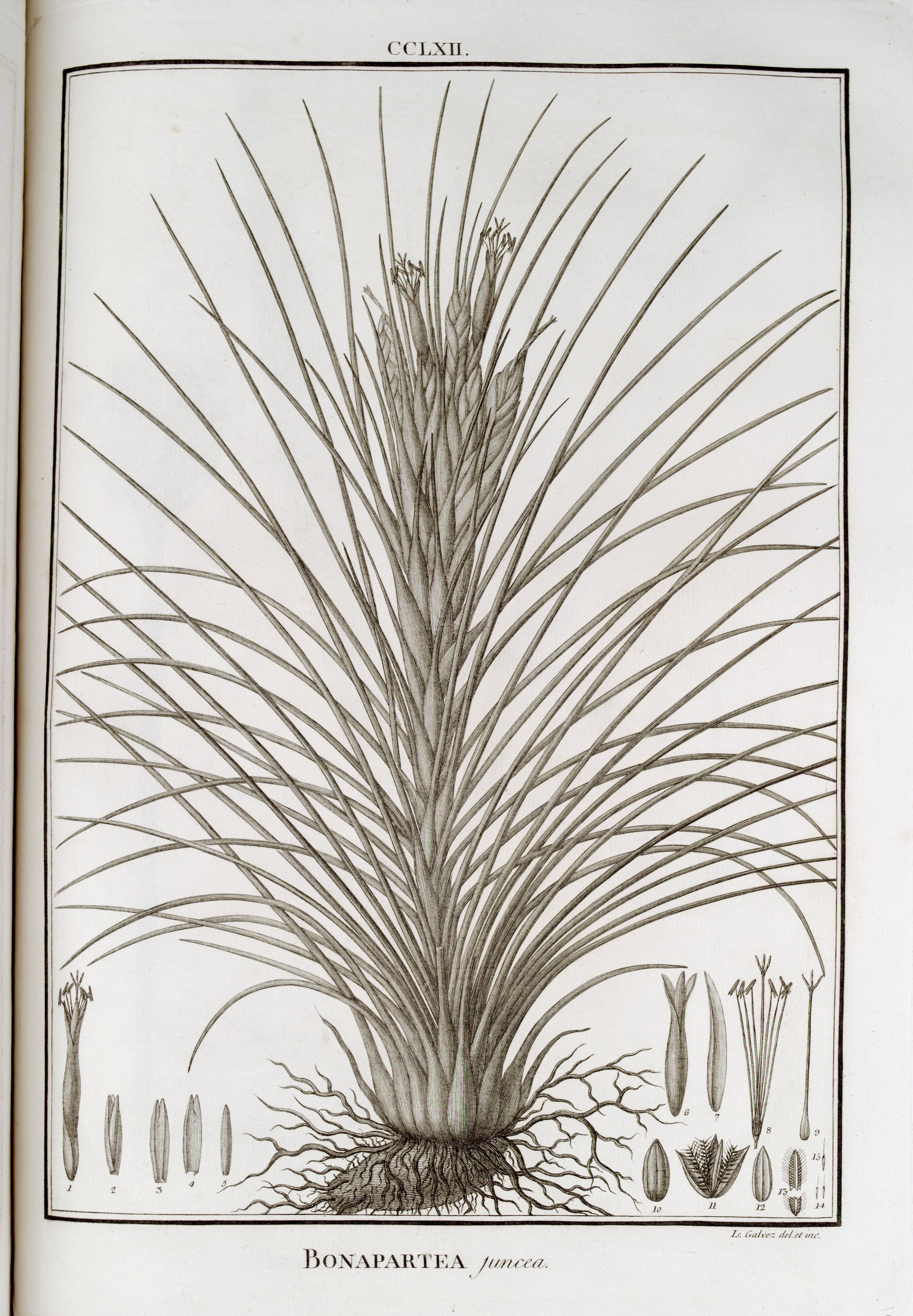 no full size  illustration available (3a)