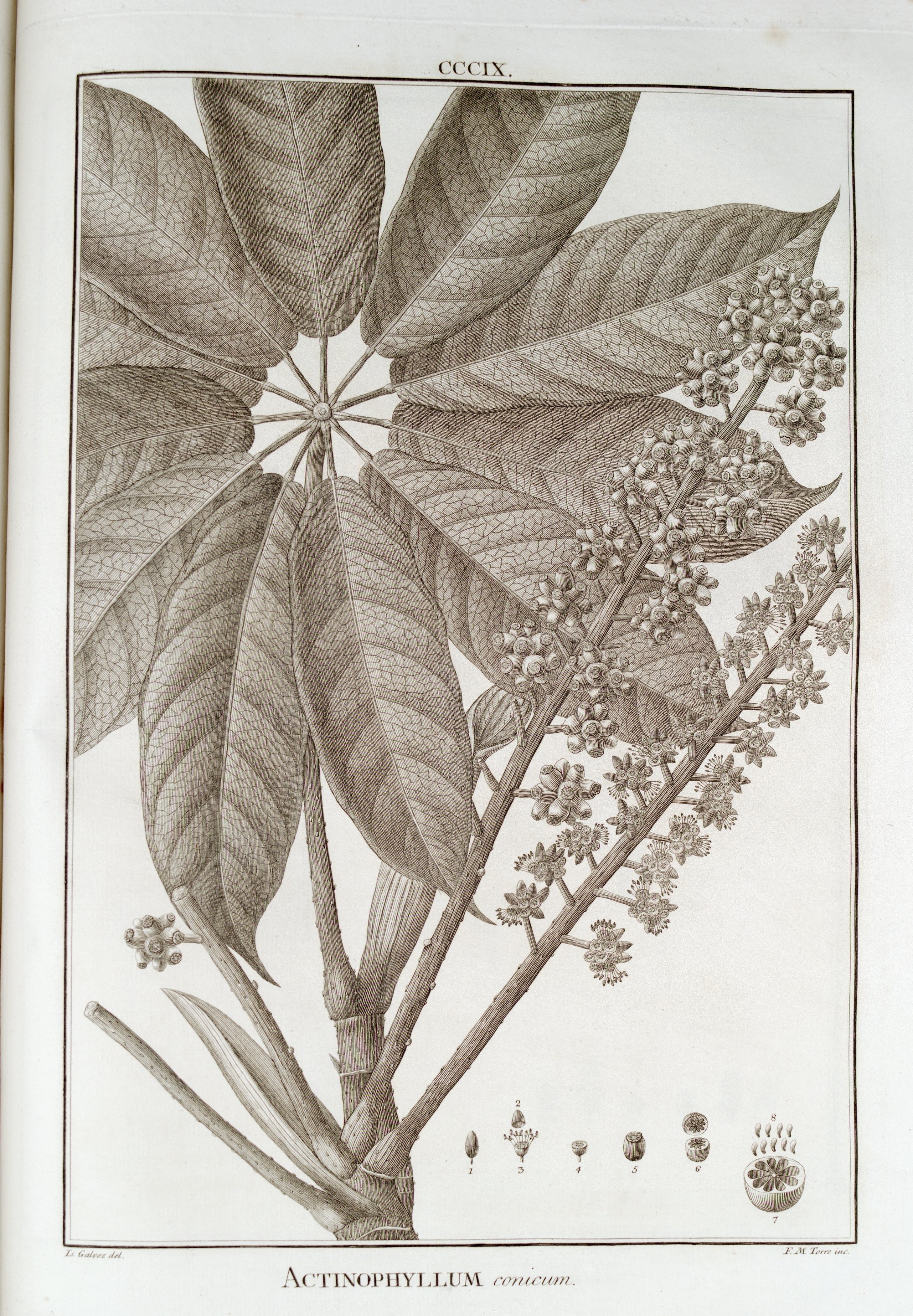 no full size  illustration available (3a)