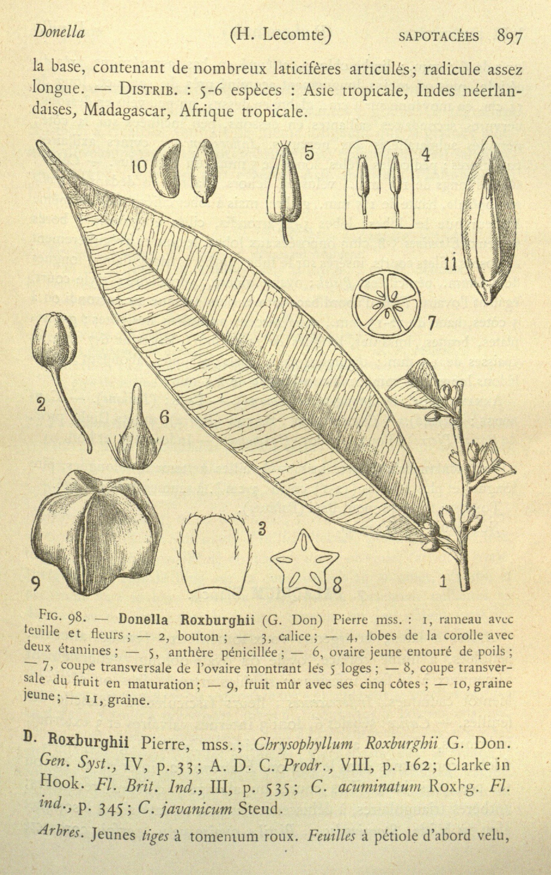 no full size  illustration available (3a)