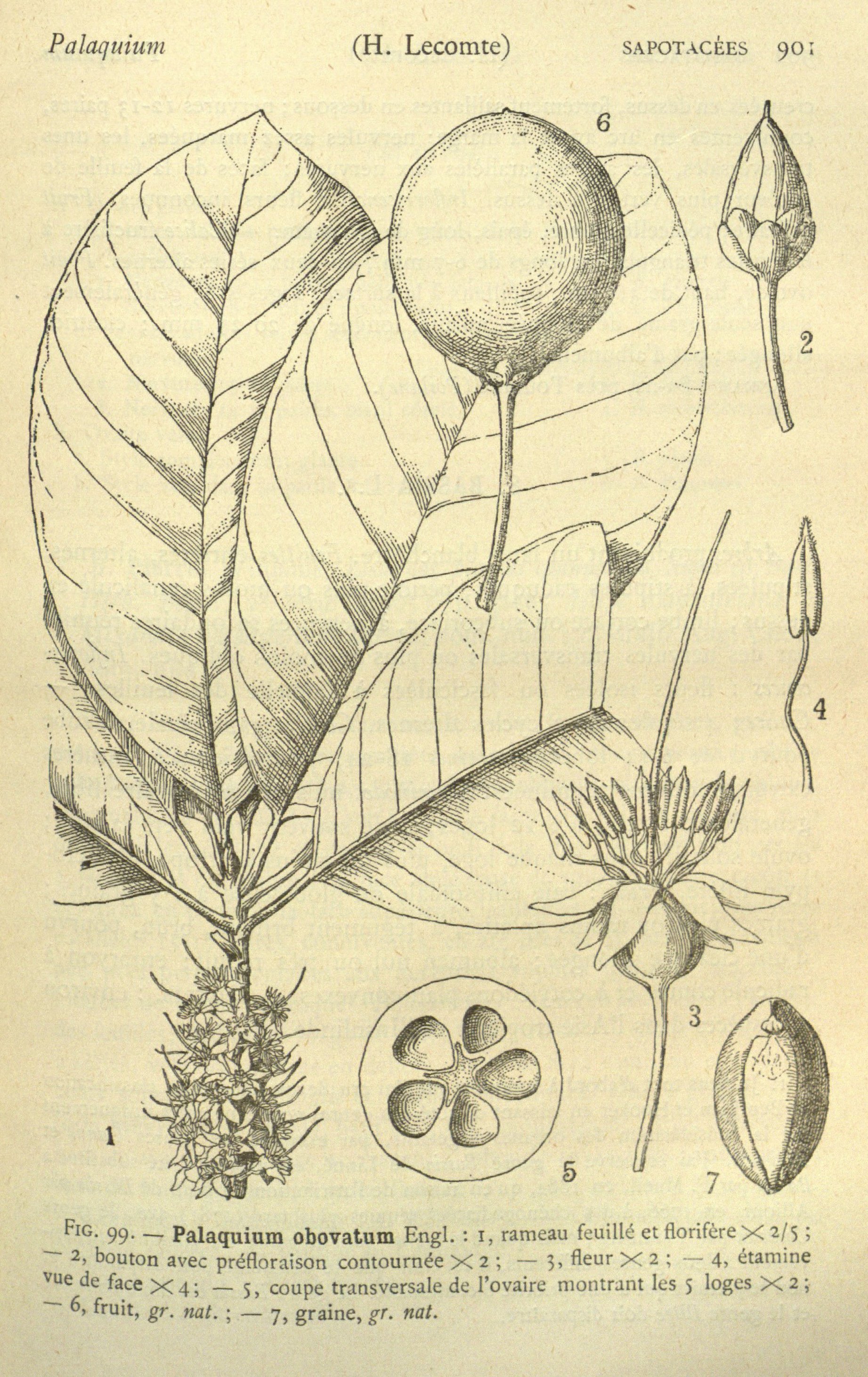 no full size  illustration available (3a)