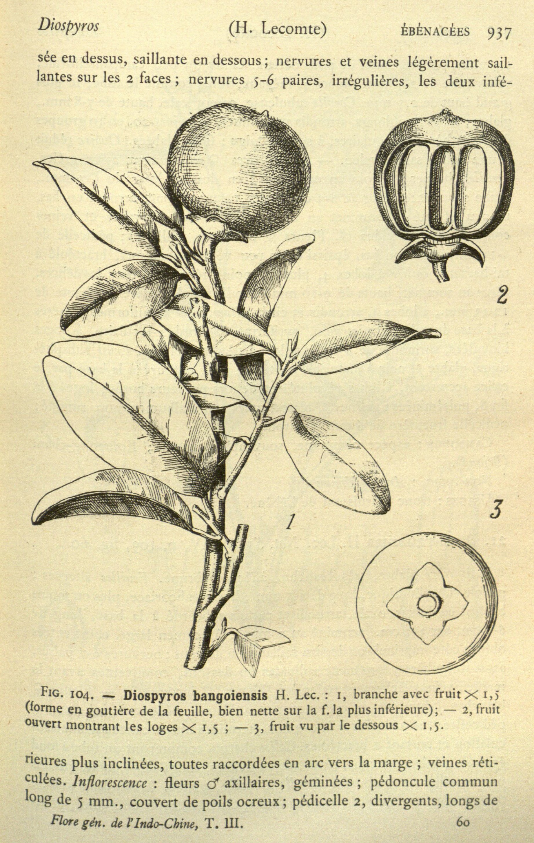 no full size  illustration available (3a)